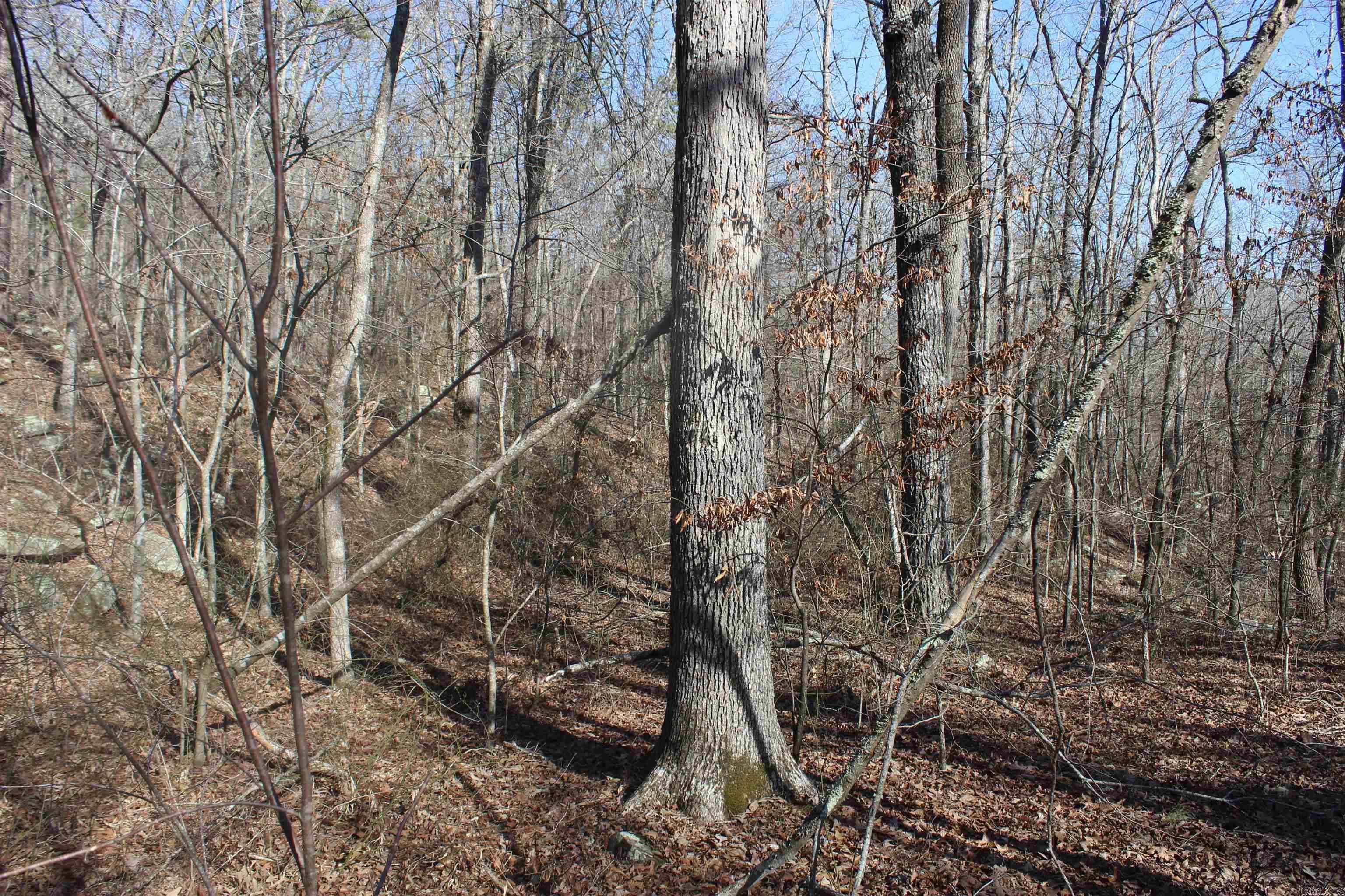 Metes & Bounds - Land