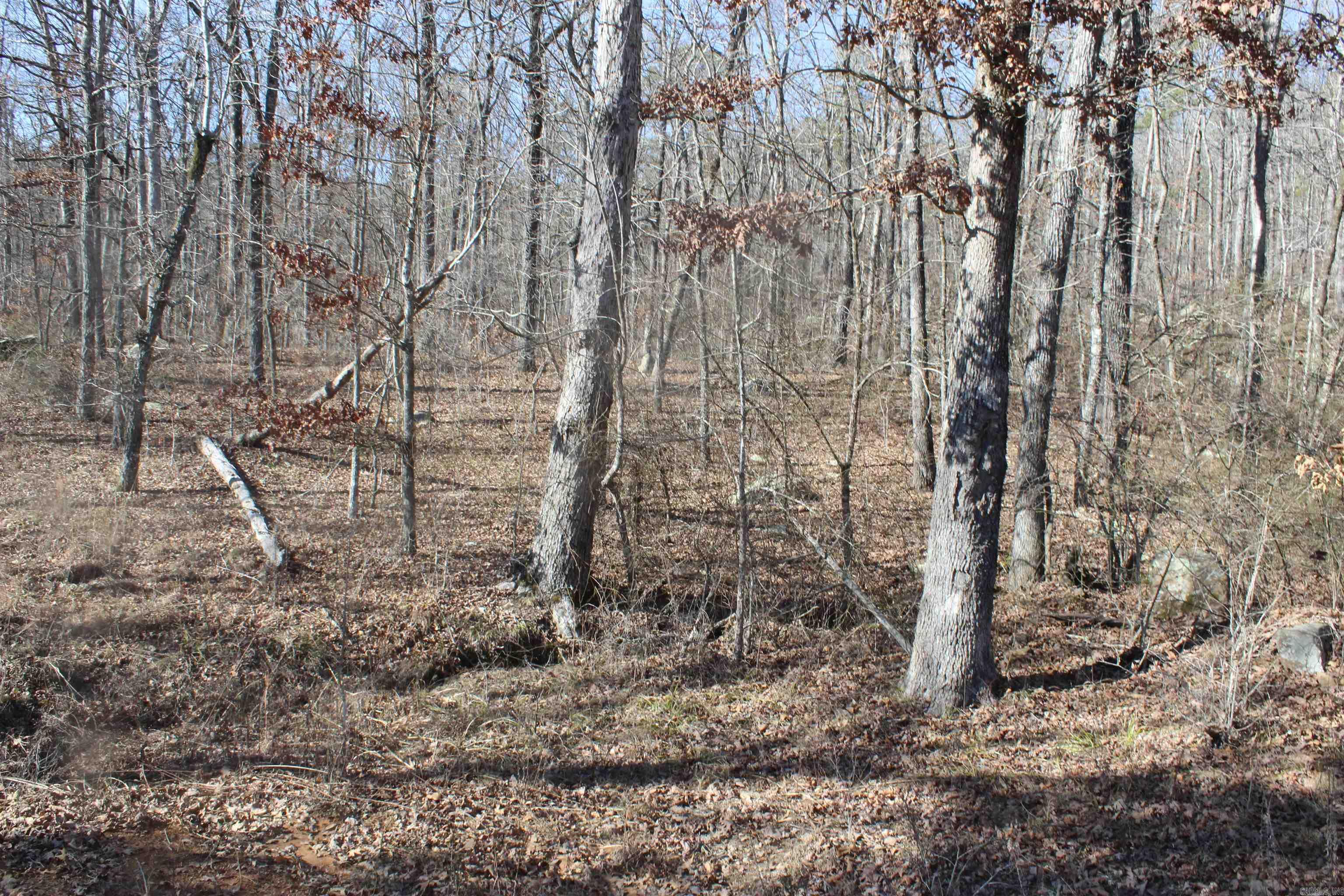 Metes & Bounds - Land