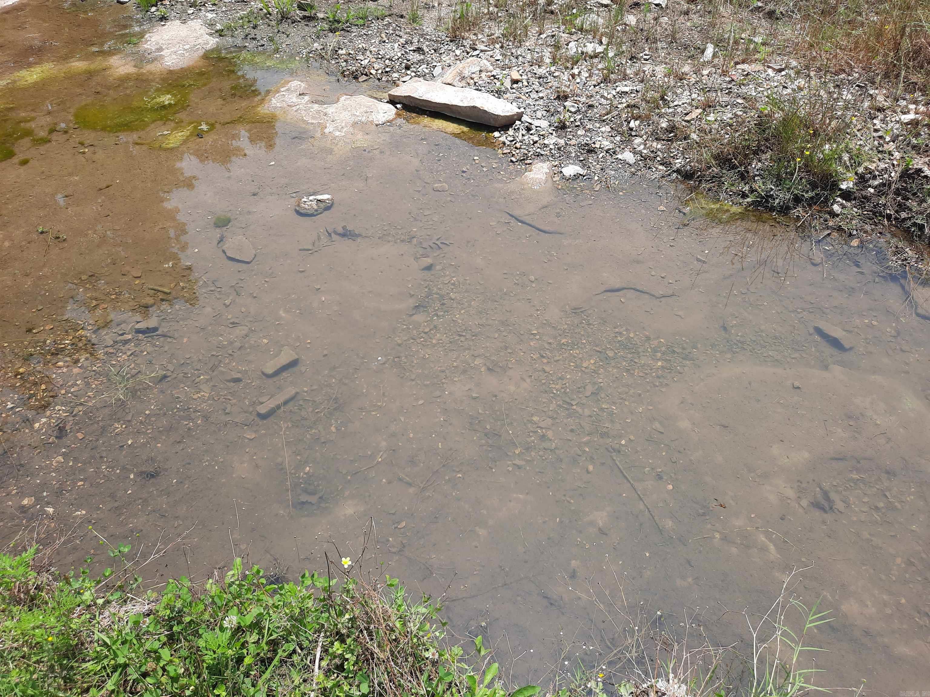 Metes & Bounds - Farm