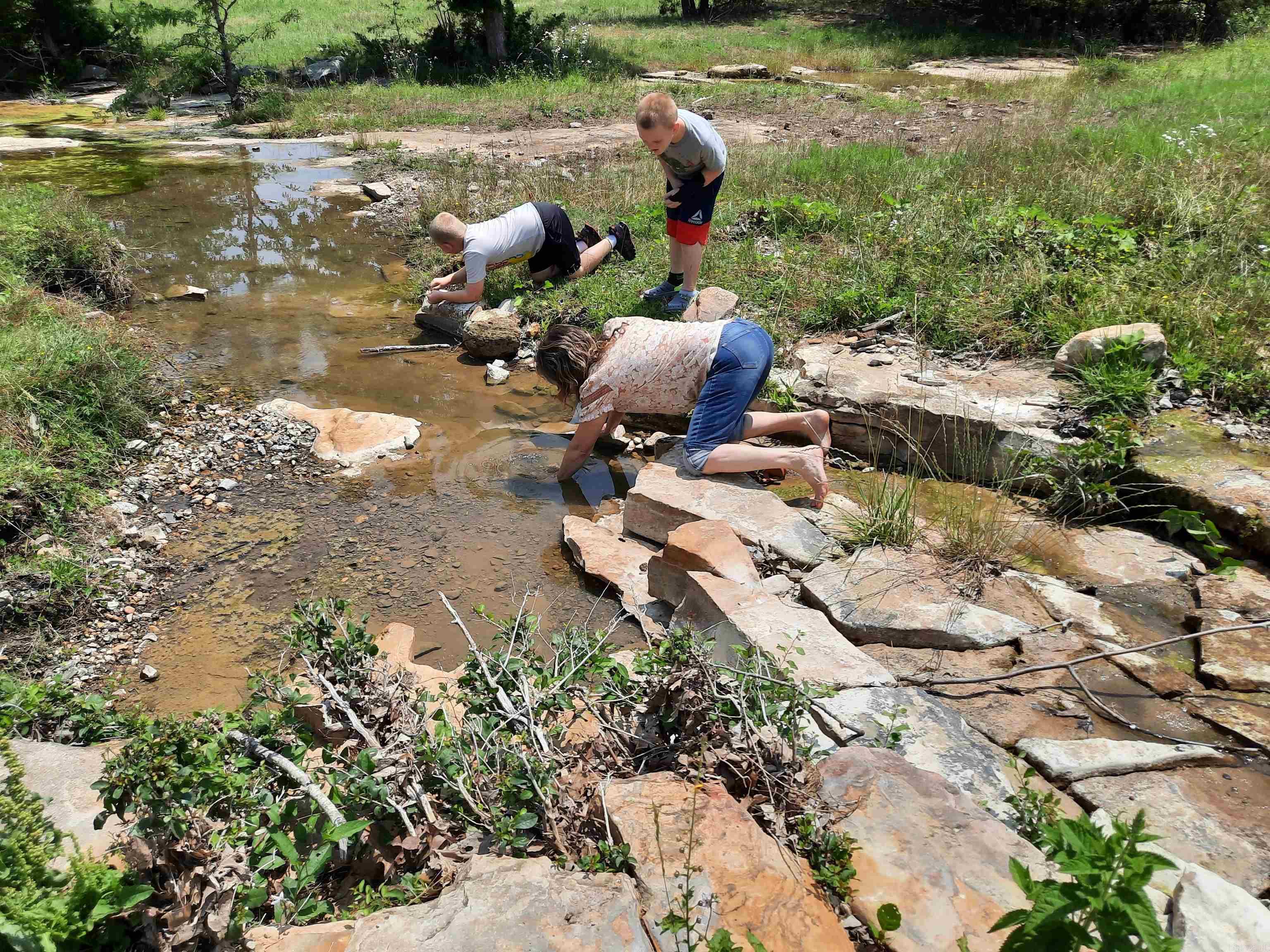 Metes & Bounds - Farm