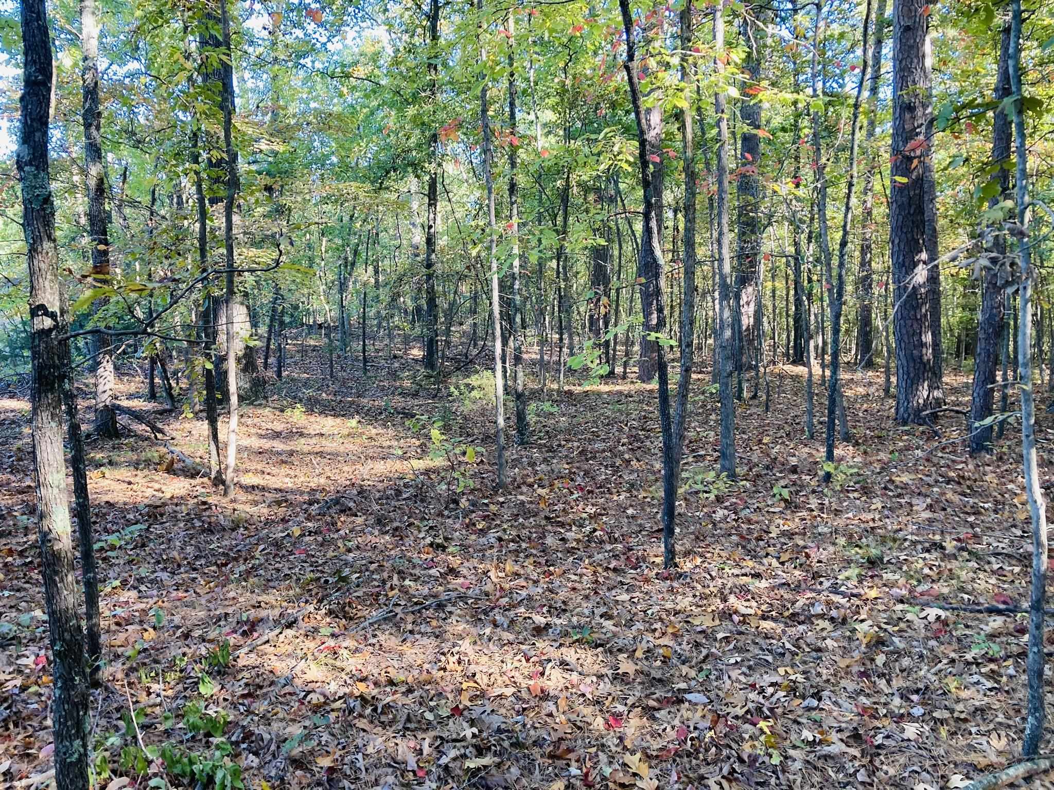 Looking for the perfect spot to build a getaway cabin or short-term rentals? This 6.55-acre parcel offers a rural, wooded setting with quality hardwood timber and convenient access from Knob Creek Road, outside the city limits of Melbourne, Arkansas. Utilities are available, making it easy to start your dream project!