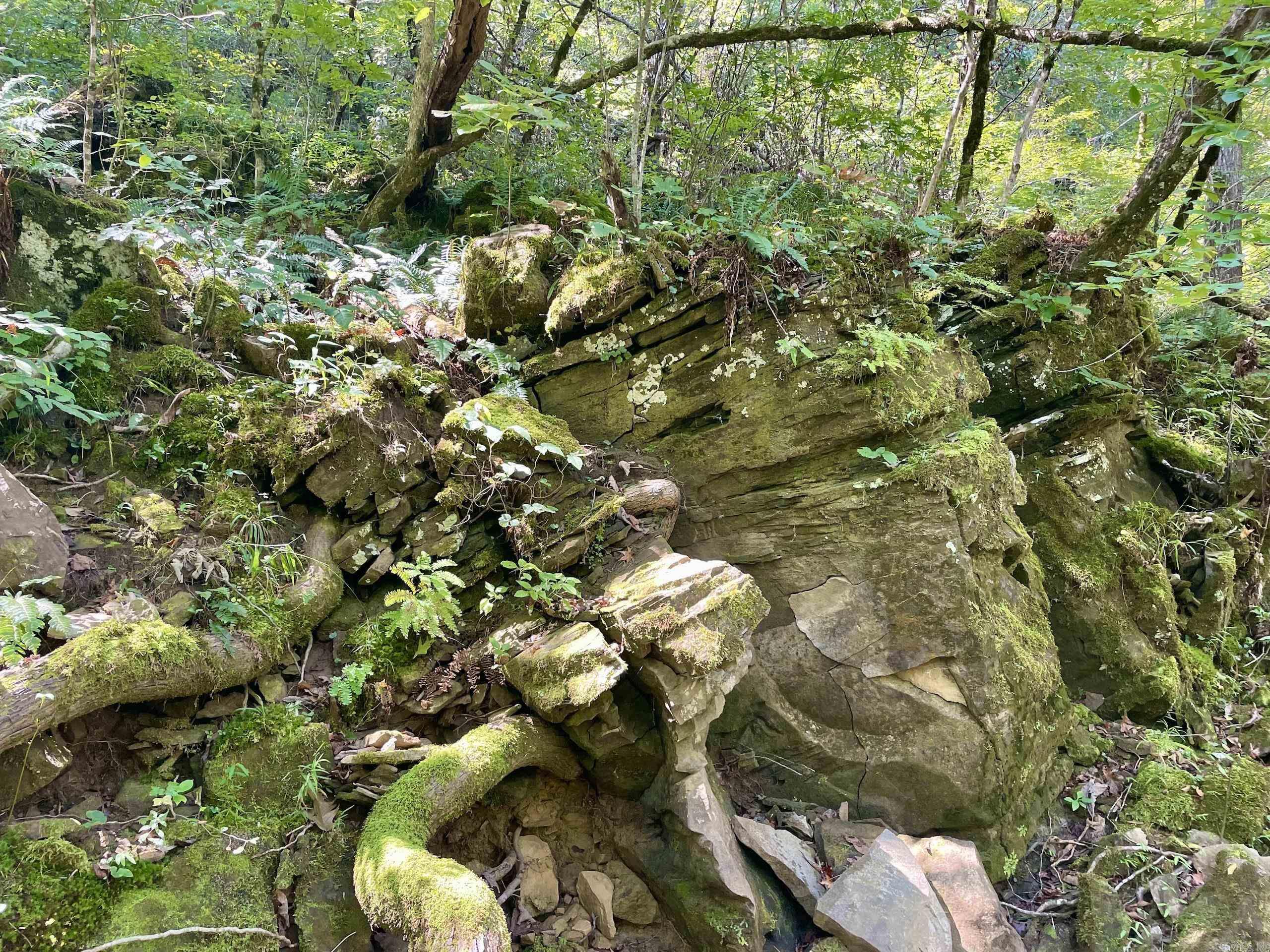 Not in Subdivision - Land