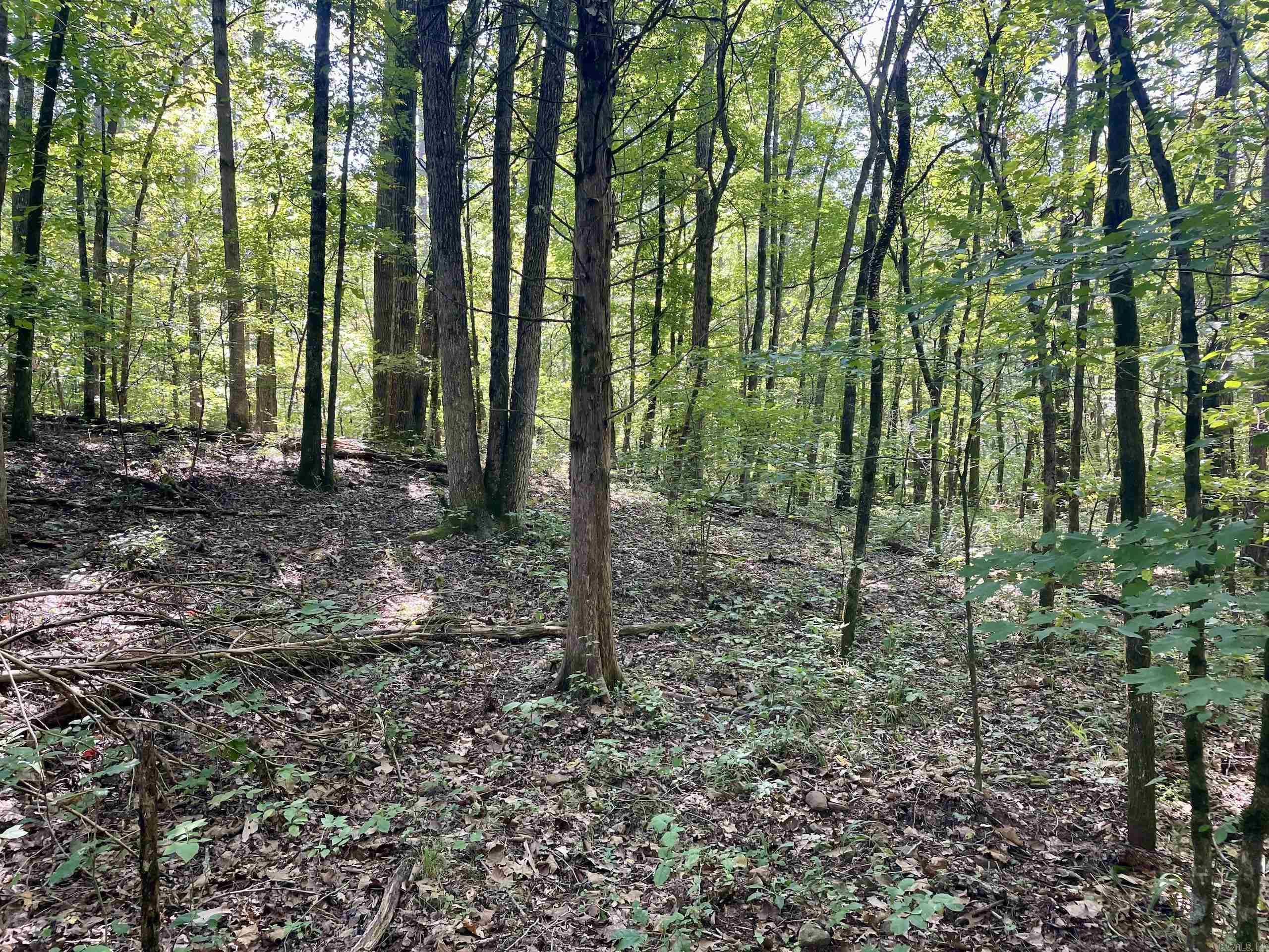 Not in Subdivision - Land