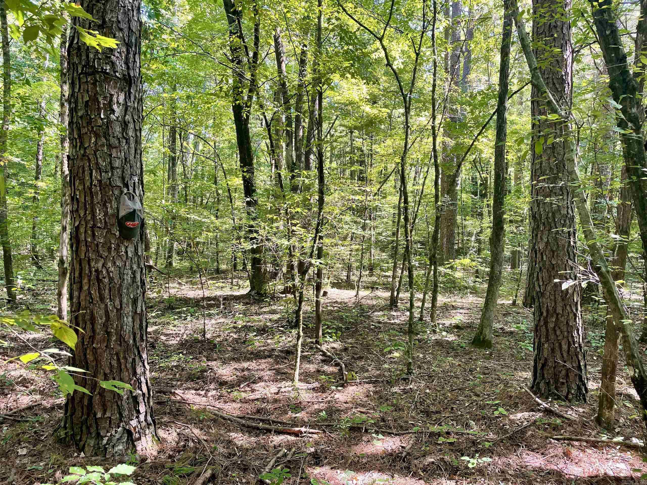 Not in Subdivision - Land