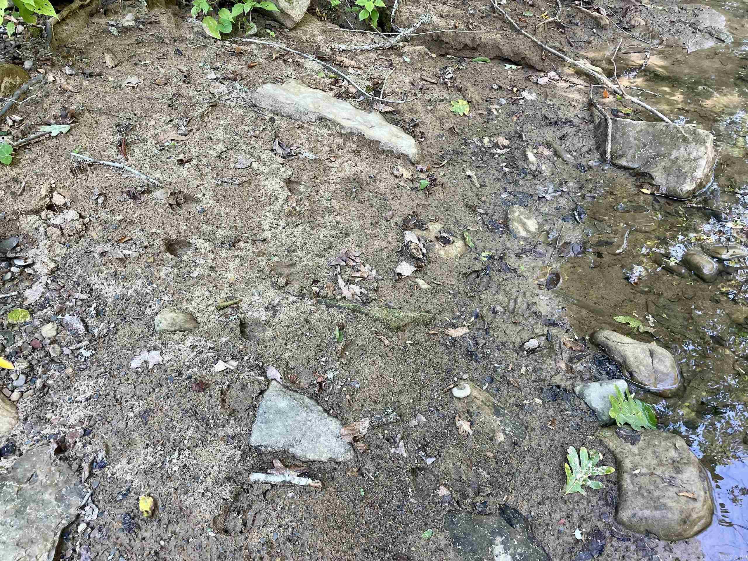 Not in Subdivision - Land