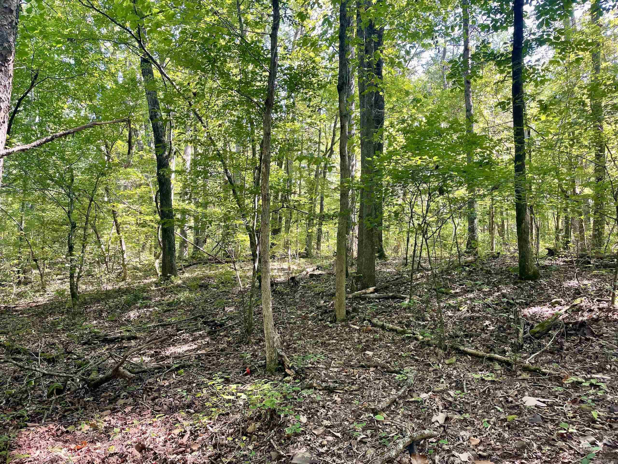 Not in Subdivision - Land