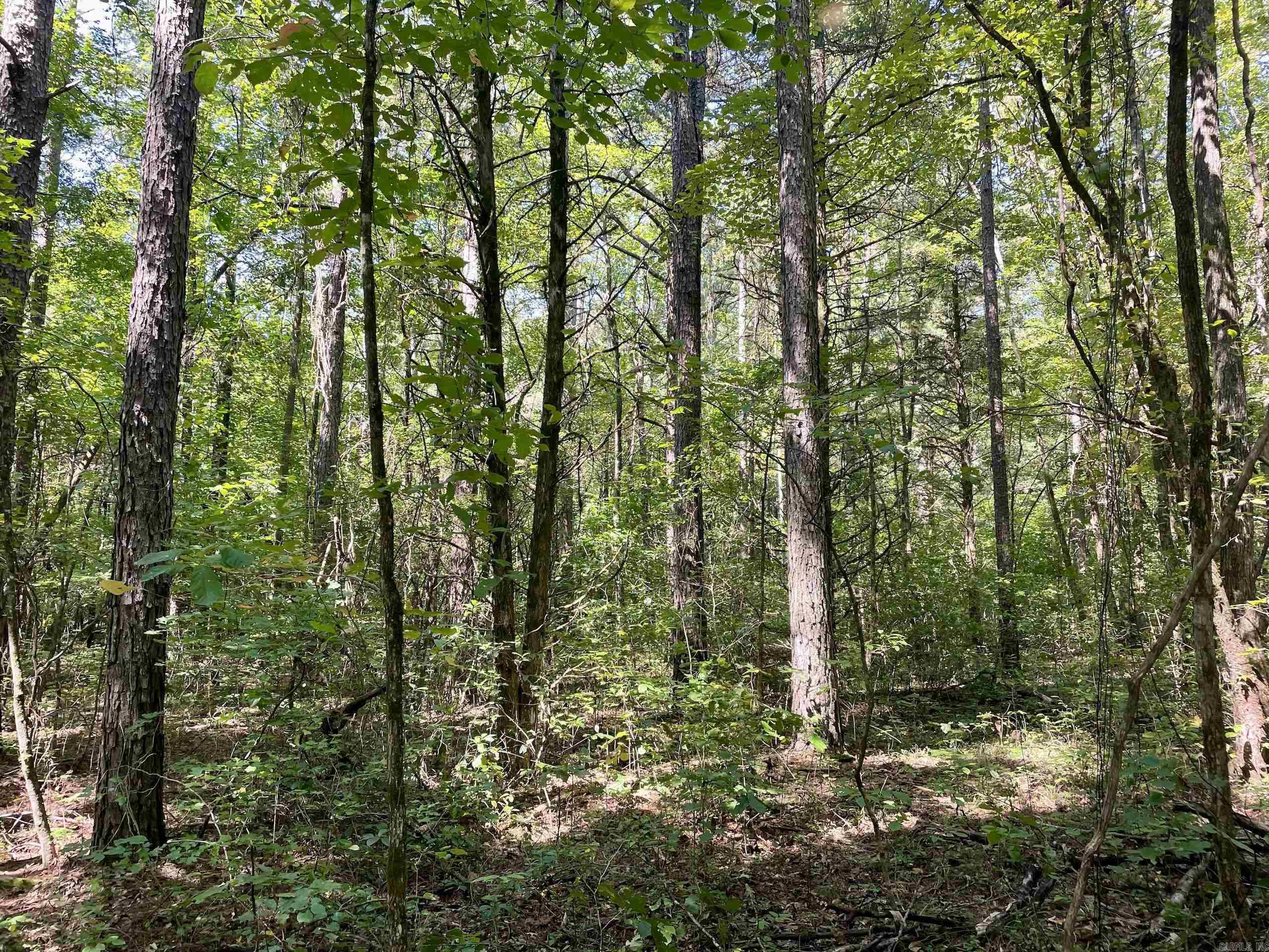 Not in Subdivision - Land