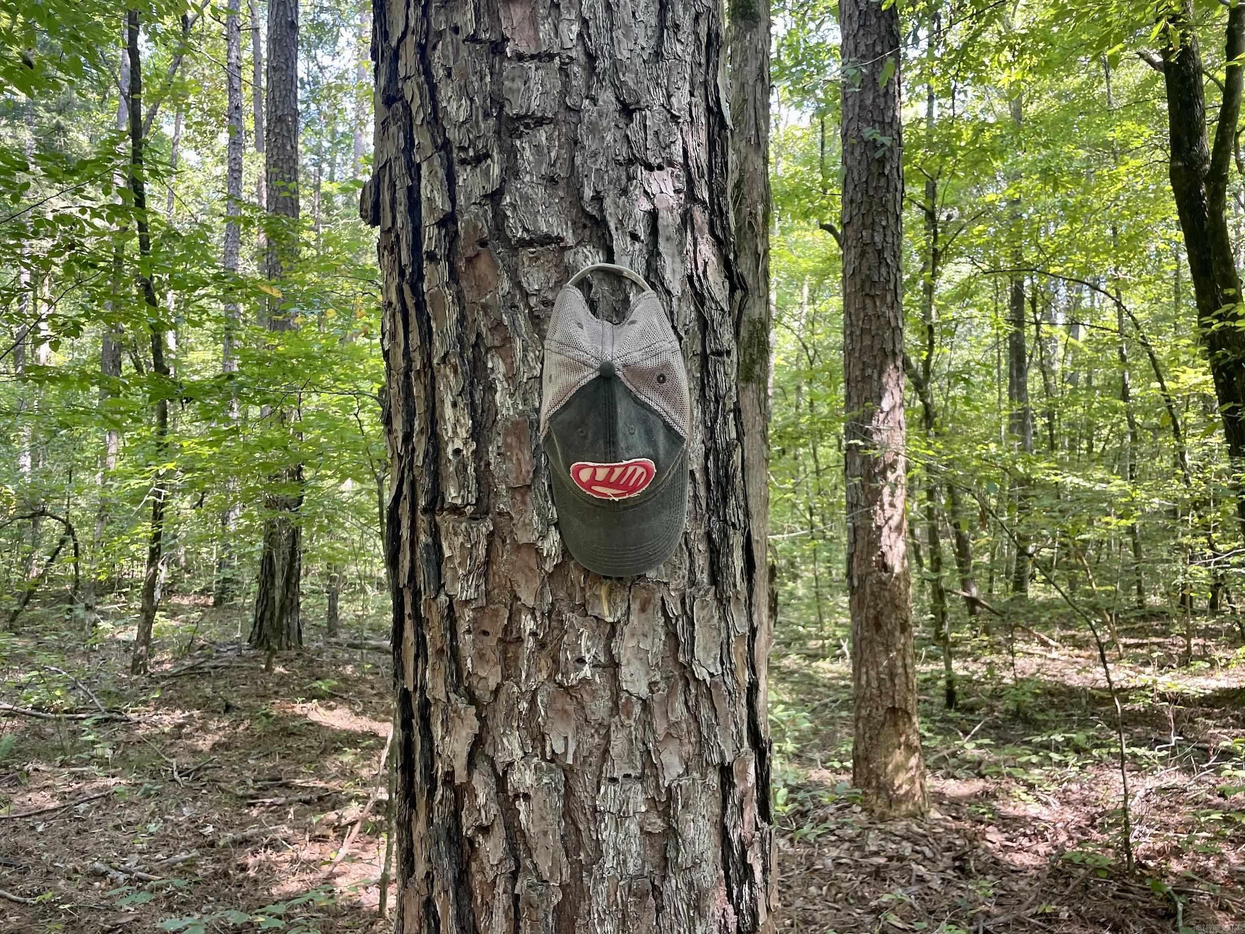 Not in Subdivision - Land