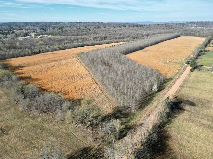 Hunters and outdoor enthusiasts, take note! This 110 (more or less) acre tract just outside Batesville, AR offers a diverse landscape ideal for wildlife and recreation. With 27+/- acres of planted hardwoods, bottomland hardwoods along Miller Creek, and open pastureland, this property provides excellent habitat for deer and turkey, which have been frequently seen by the sellers over the years. The pasture is currently being cut for hay but could easily be converted into grazing land with proper fencing. Situated in a floodplain/floodway, the land offers a unique mix of productive ground and prime hunting territory. Additionally, ½ of the sellers' mineral interests will convey. Don’t miss this incredible opportunity for a hunting retreat, investment, or recreational escape.