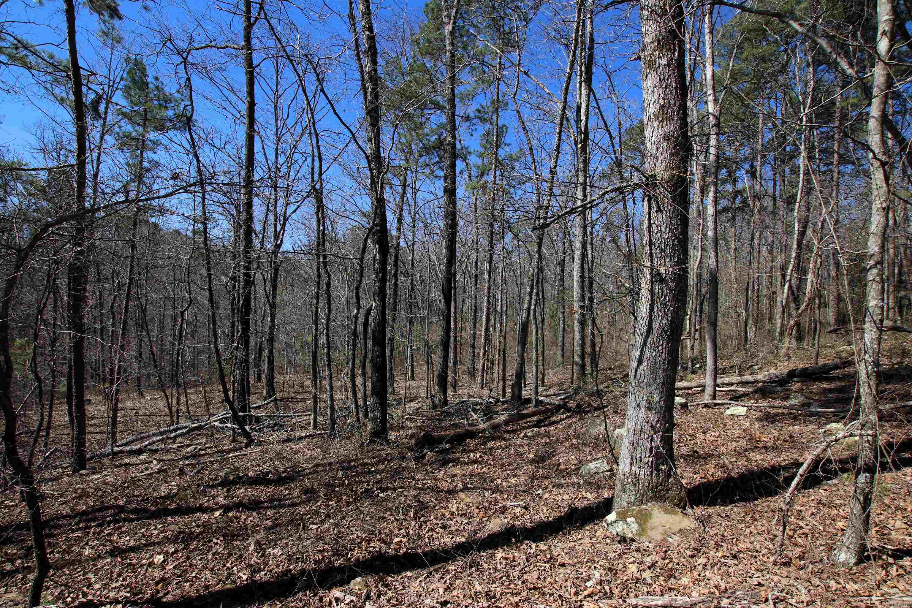 Not in Subdivision - Land