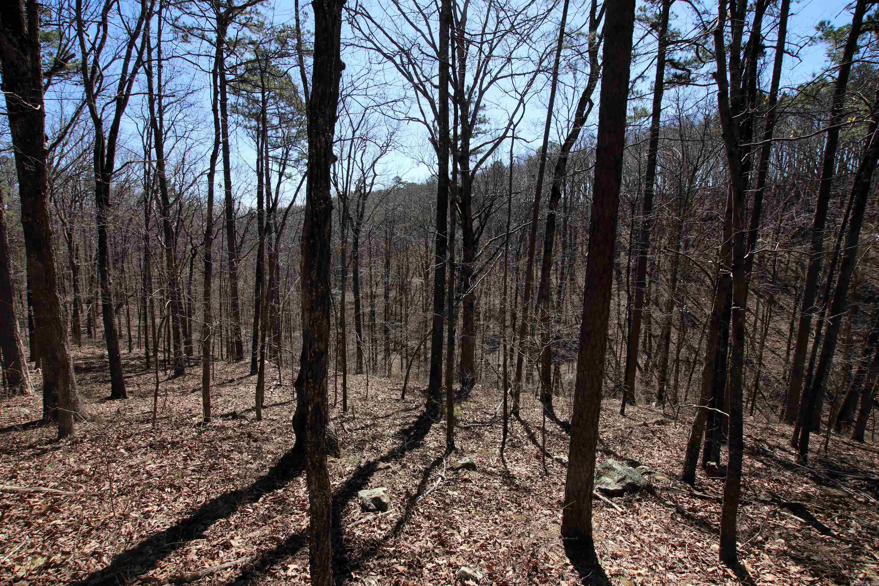 Not in Subdivision - Land