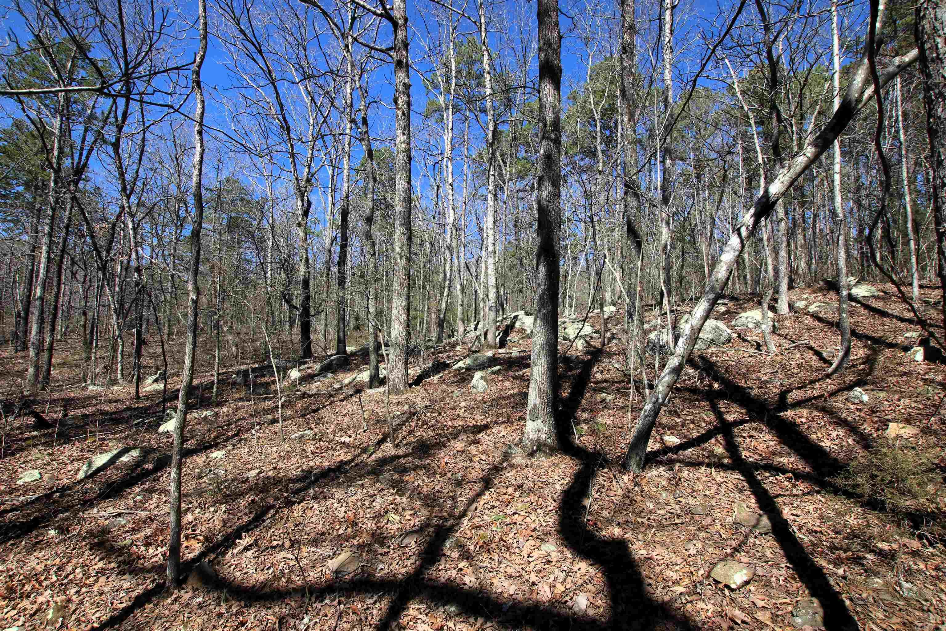 Not in Subdivision - Land