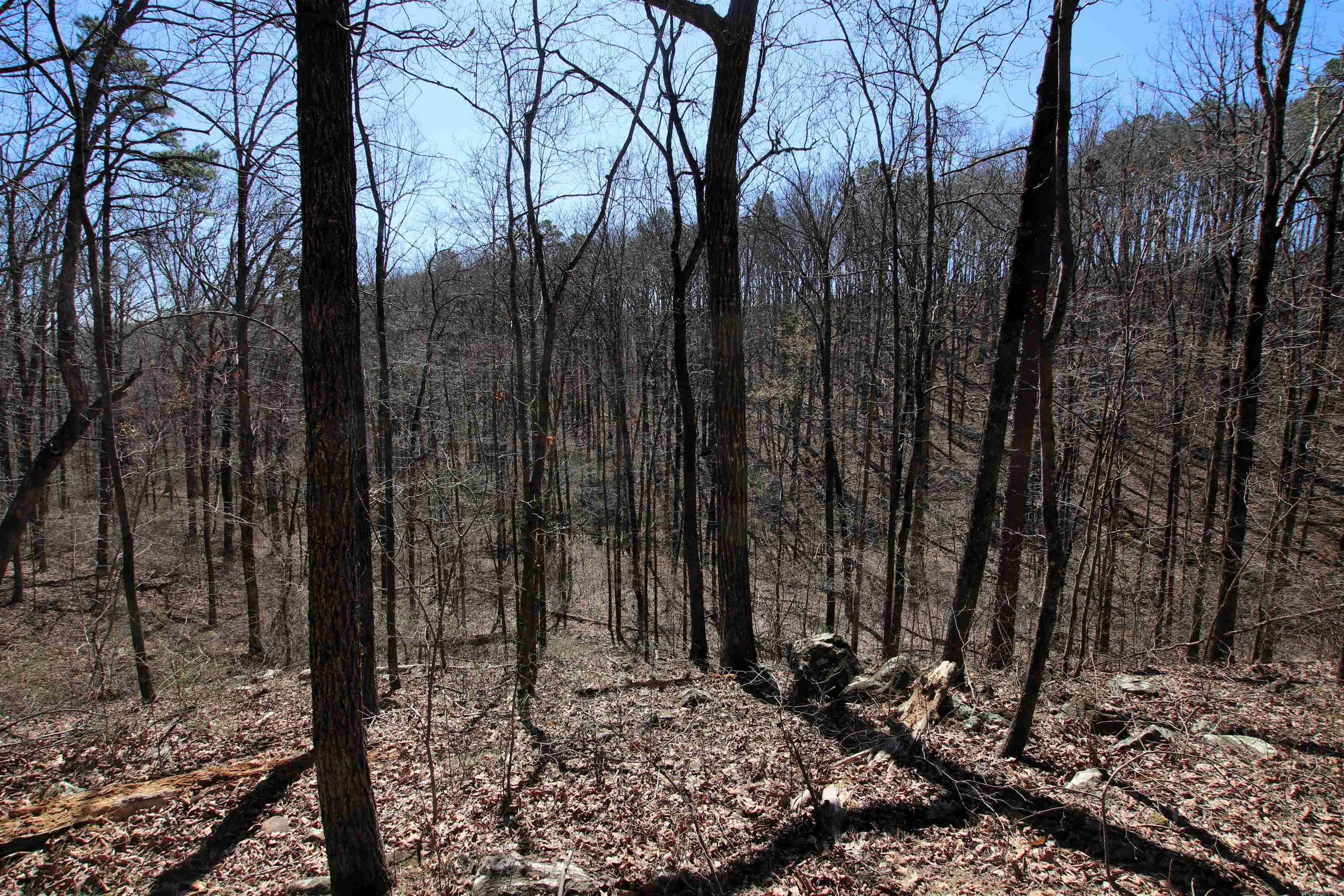 Not in Subdivision - Land