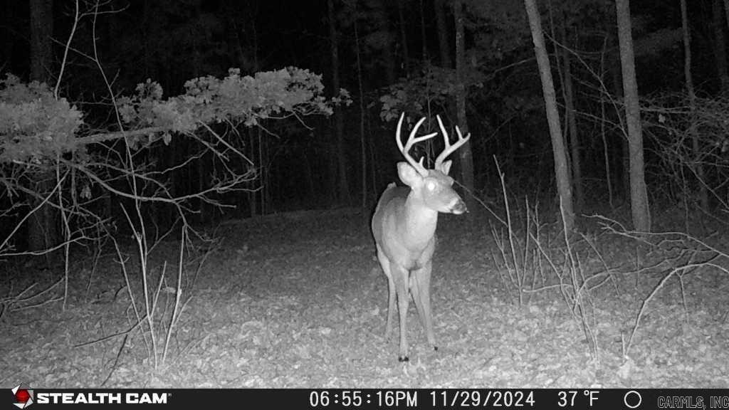 Not in Subdivision - Land