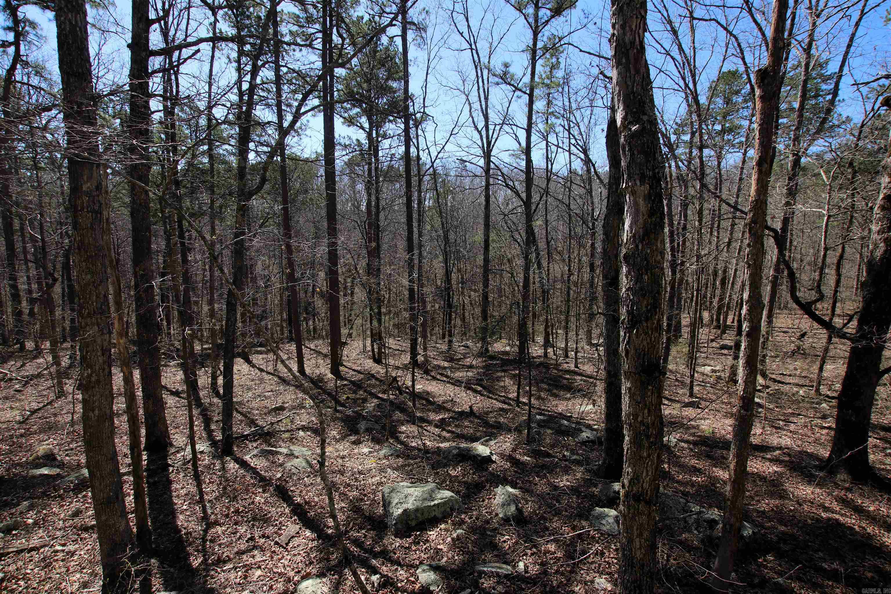 Not in Subdivision - Land