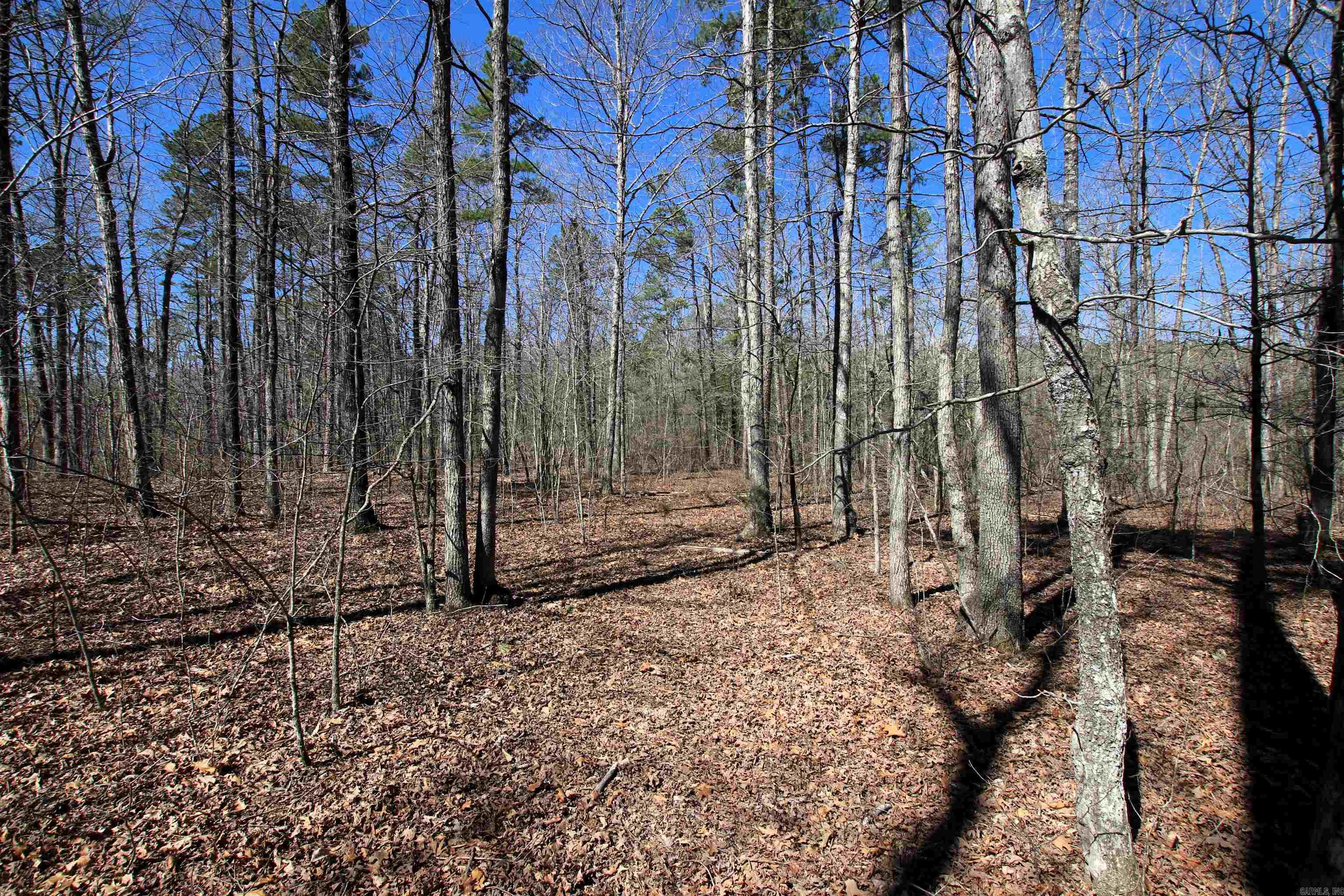 Not in Subdivision - Land