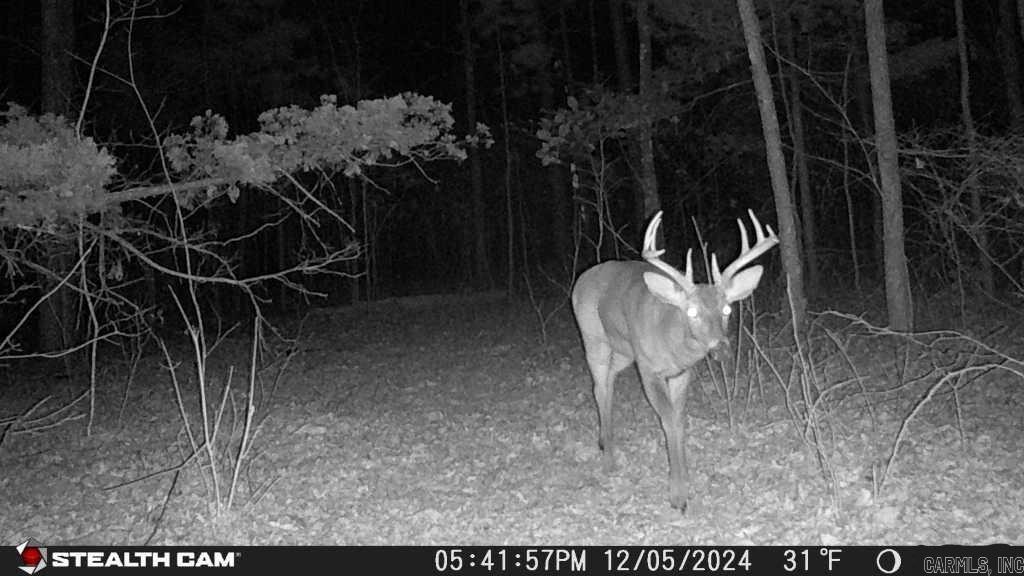 Not in Subdivision - Land