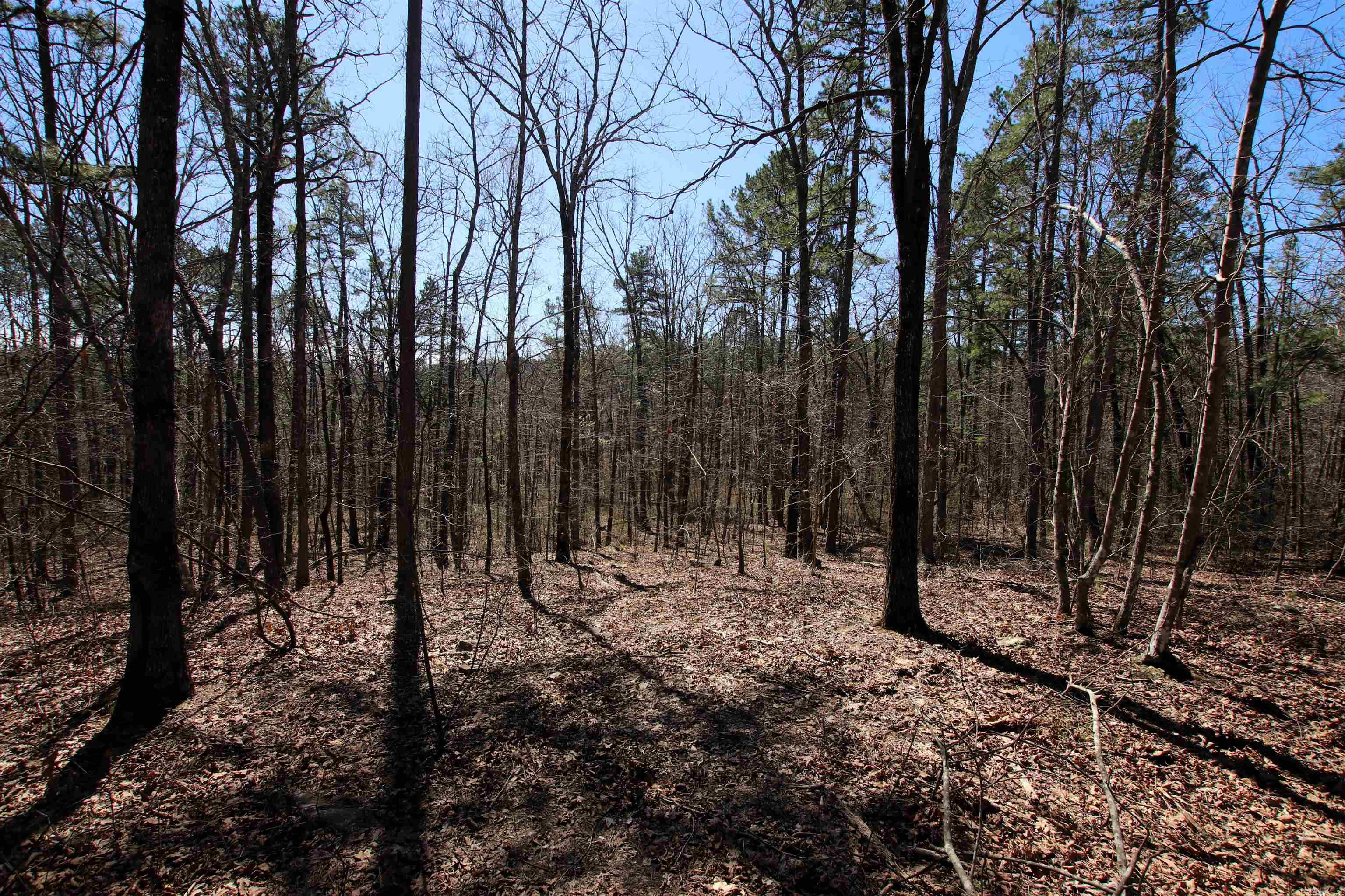 Not in Subdivision - Land