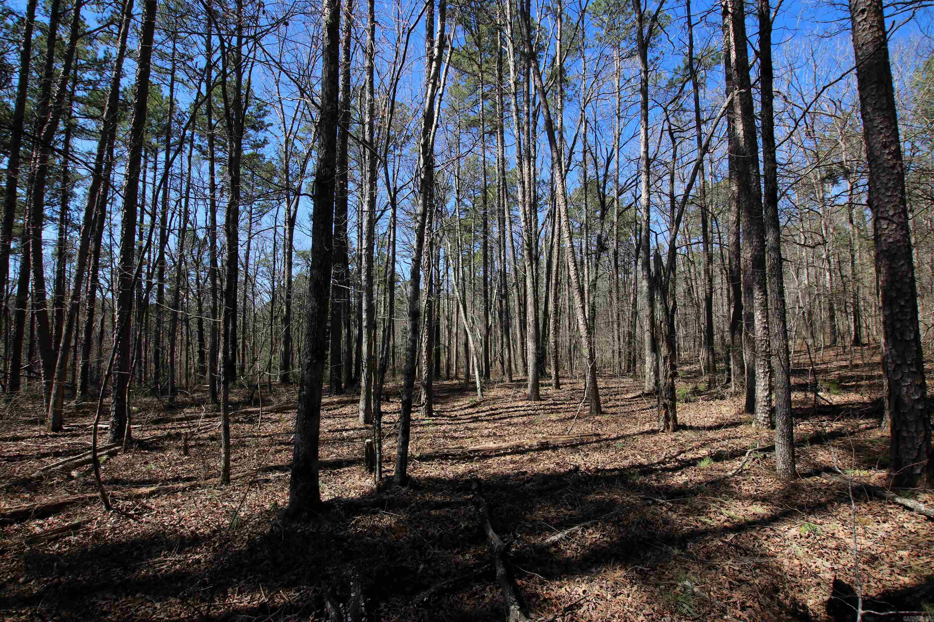 Not in Subdivision - Land