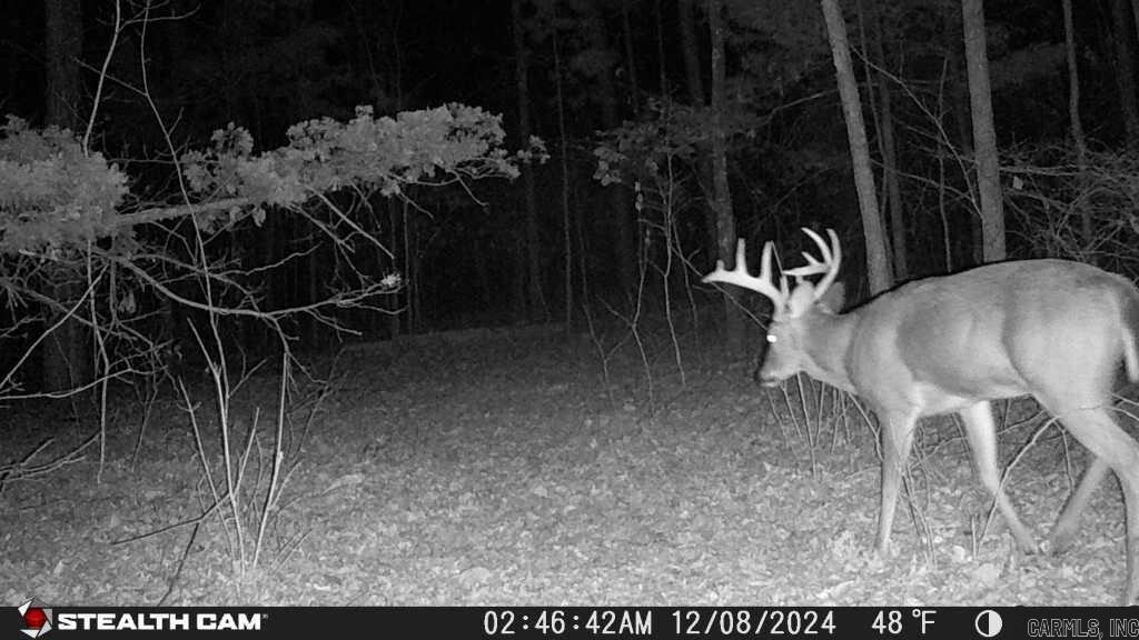 Not in Subdivision - Land