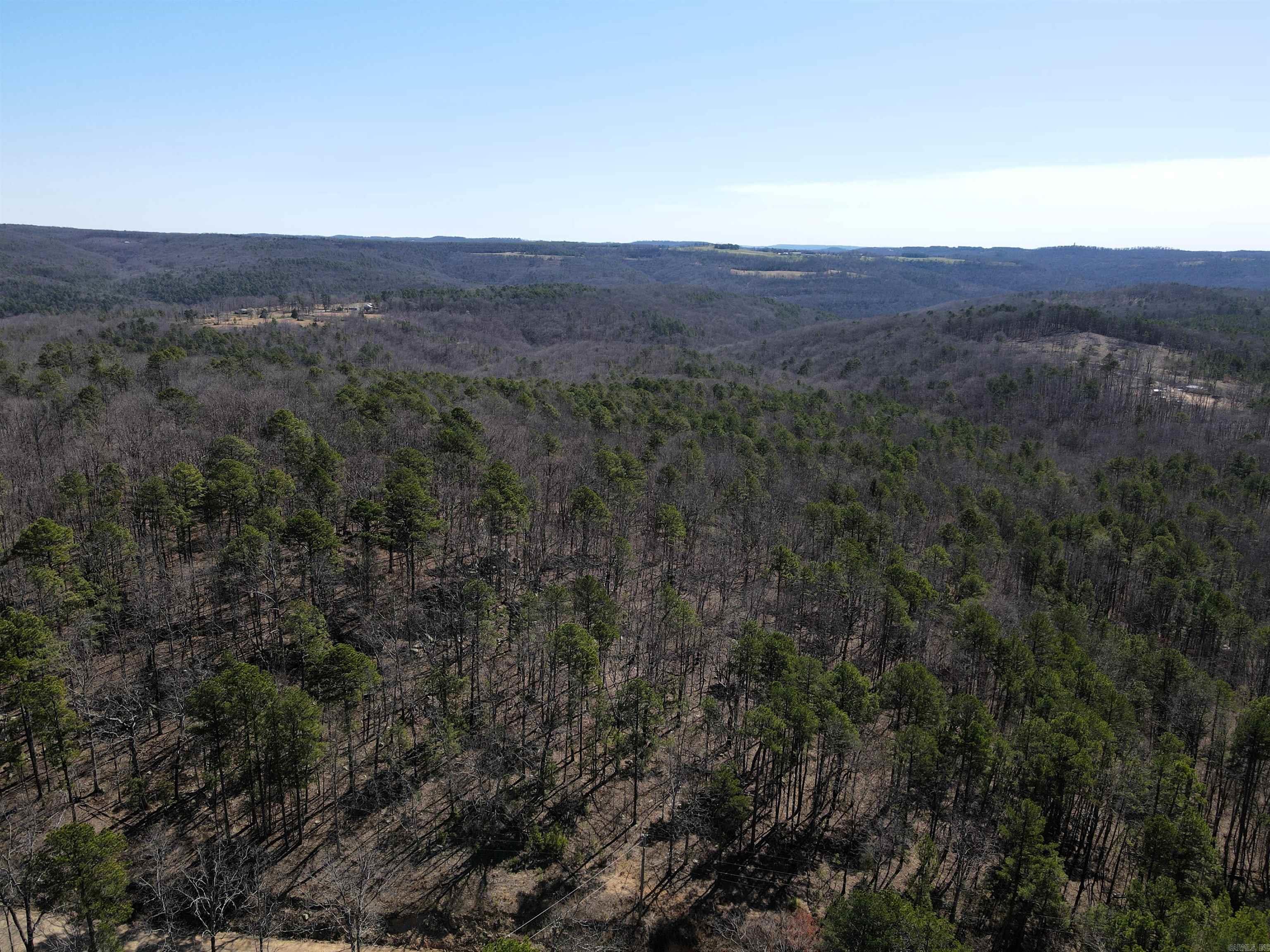 - 160 +/- acres - Numerous build sites - County road frontage - Power, water, and fiber optic available - Mature mixed timber with a variety of oak, pine, and hickory trees - Numerous well-worn deer trails and sign - Abundant wildlife - Spring fed creek - Excellent topography - 16 miles to Clinton - 25 miles to Marshall