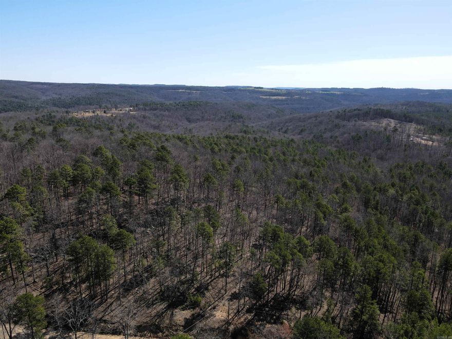 - 160 +/- acres - Numerous build sites - County road frontage - Power, water, and fiber optic available - Mature mixed timber with a variety of oak, pine, and hickory trees - Numerous well-worn deer trails and sign - Abundant wildlife - Spring fed creek  - Excellent topography  - 16 miles to Clinton - 25 miles to Marshall