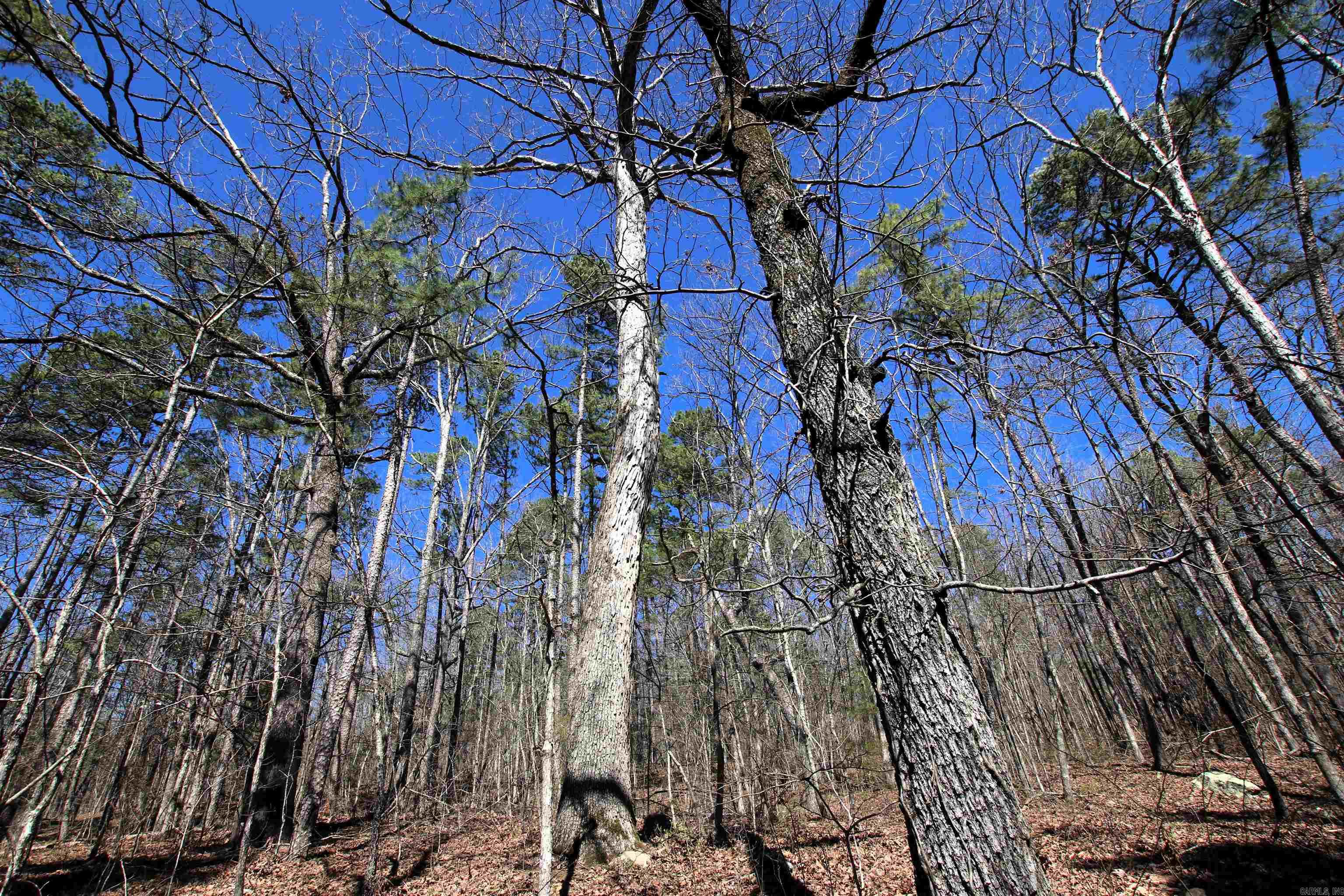 Not in Subdivision - Land