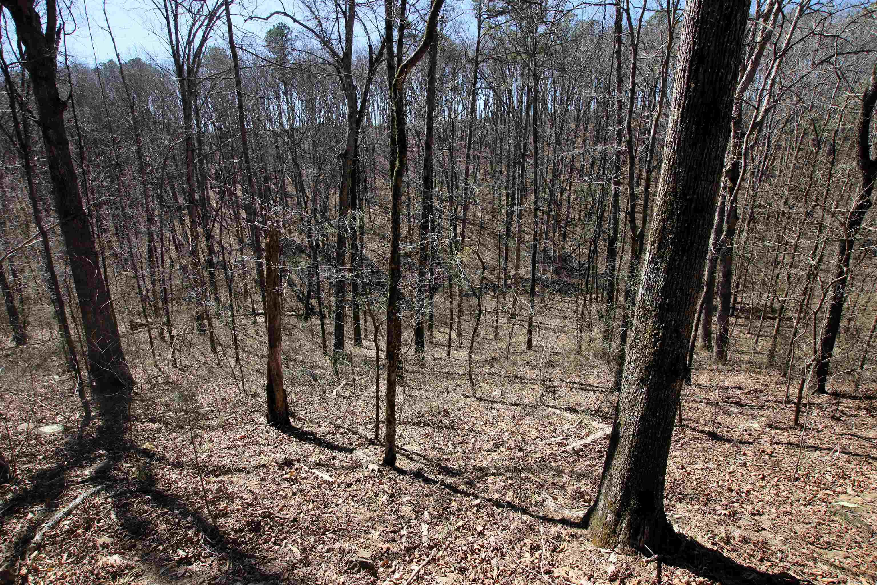 Not in Subdivision - Land