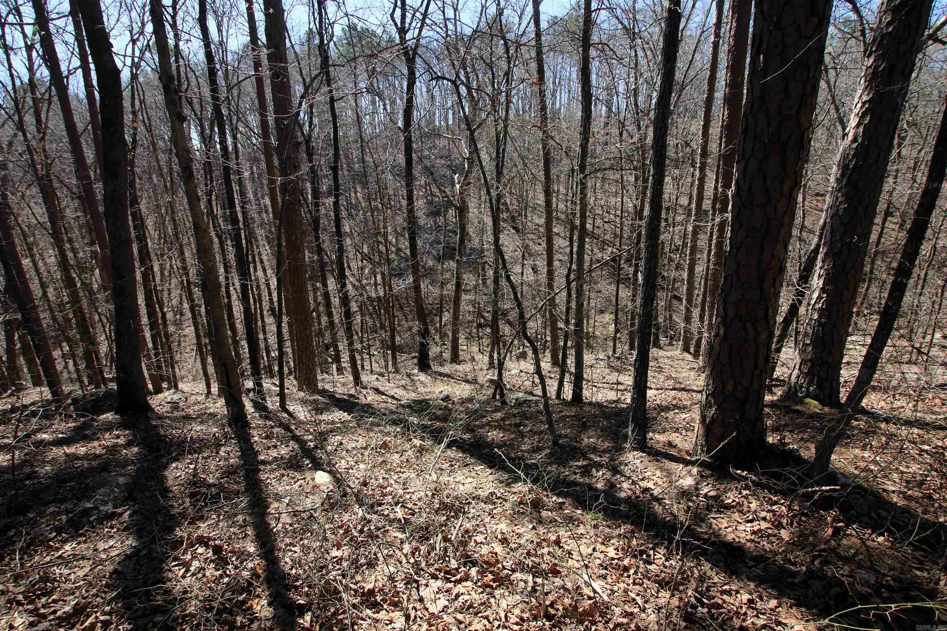 Not in Subdivision - Land