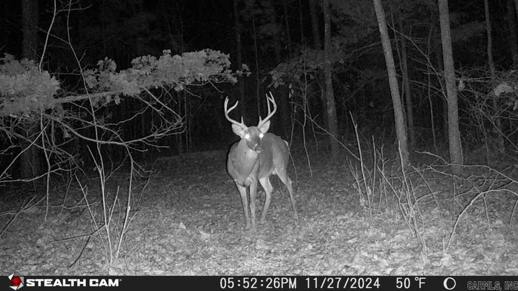 Not in Subdivision - Land