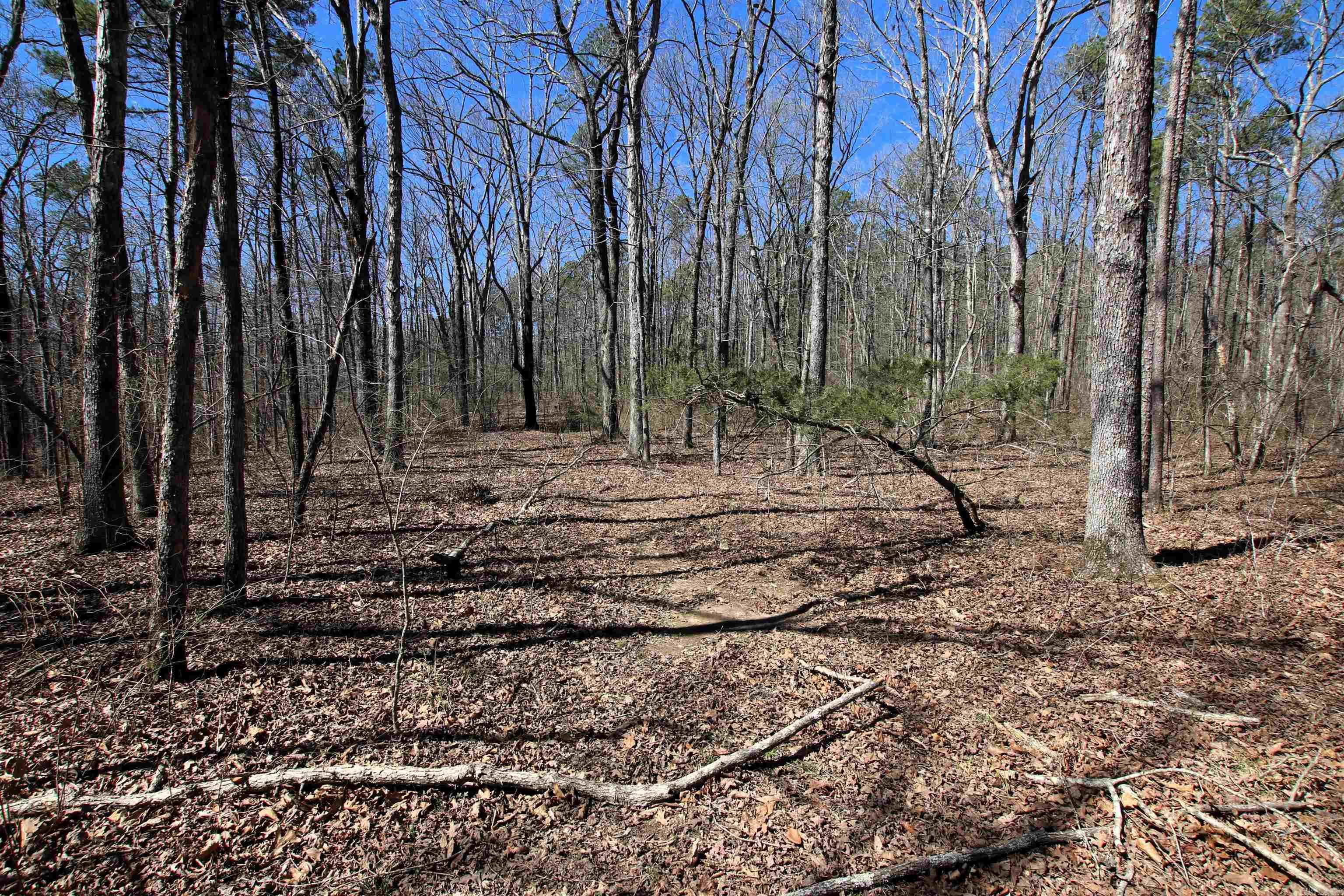 Not in Subdivision - Land