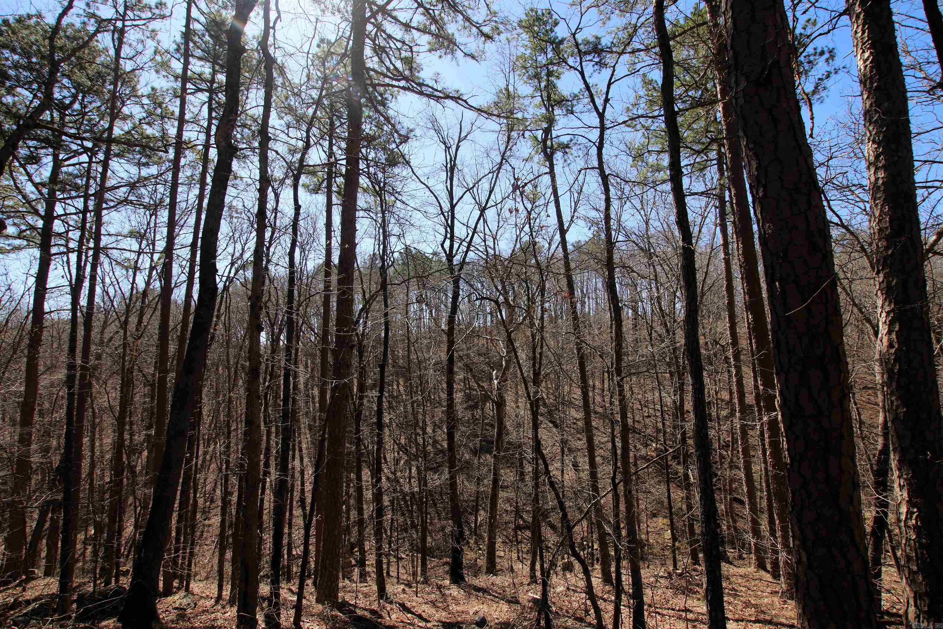 Not in Subdivision - Land