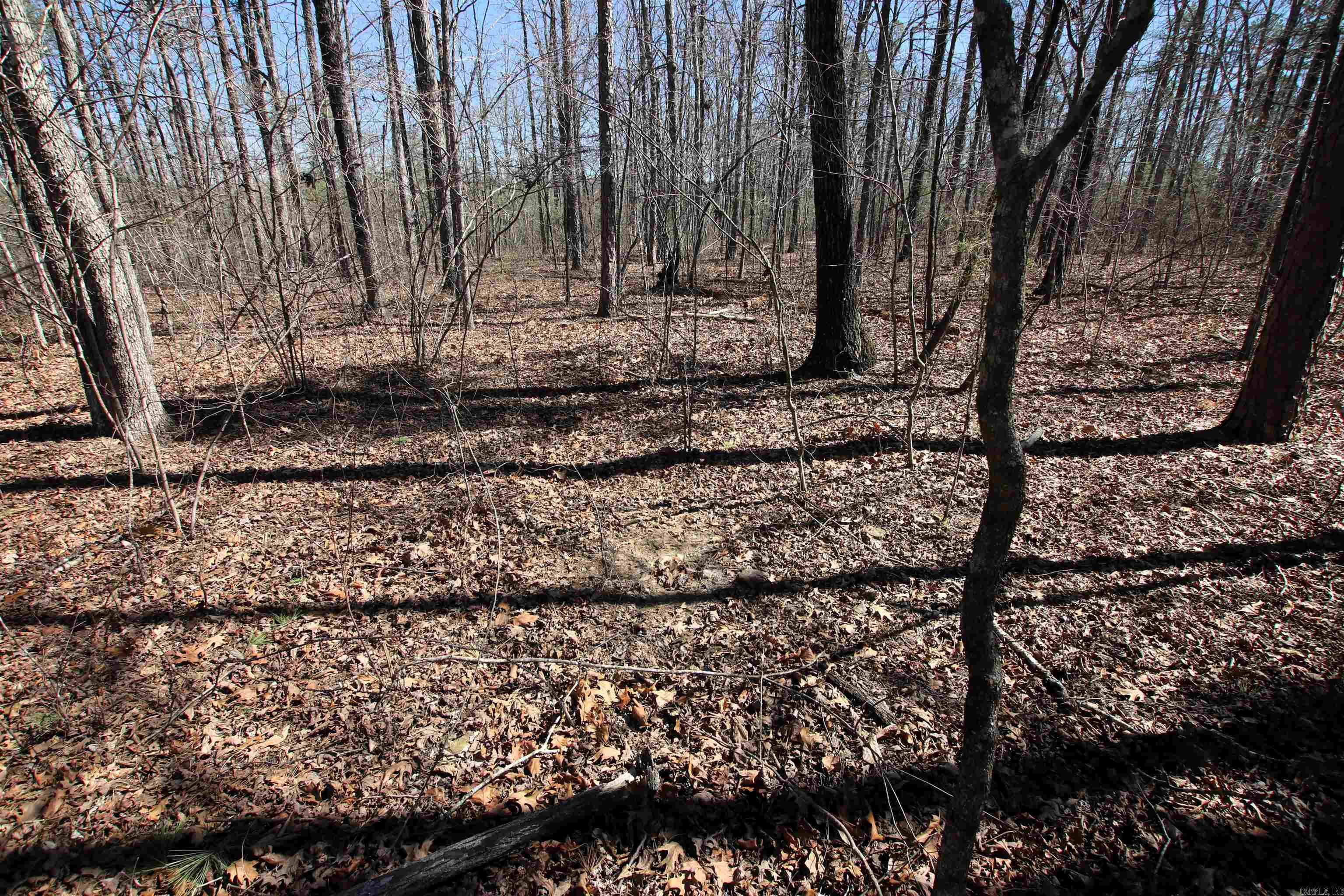 Not in Subdivision - Land