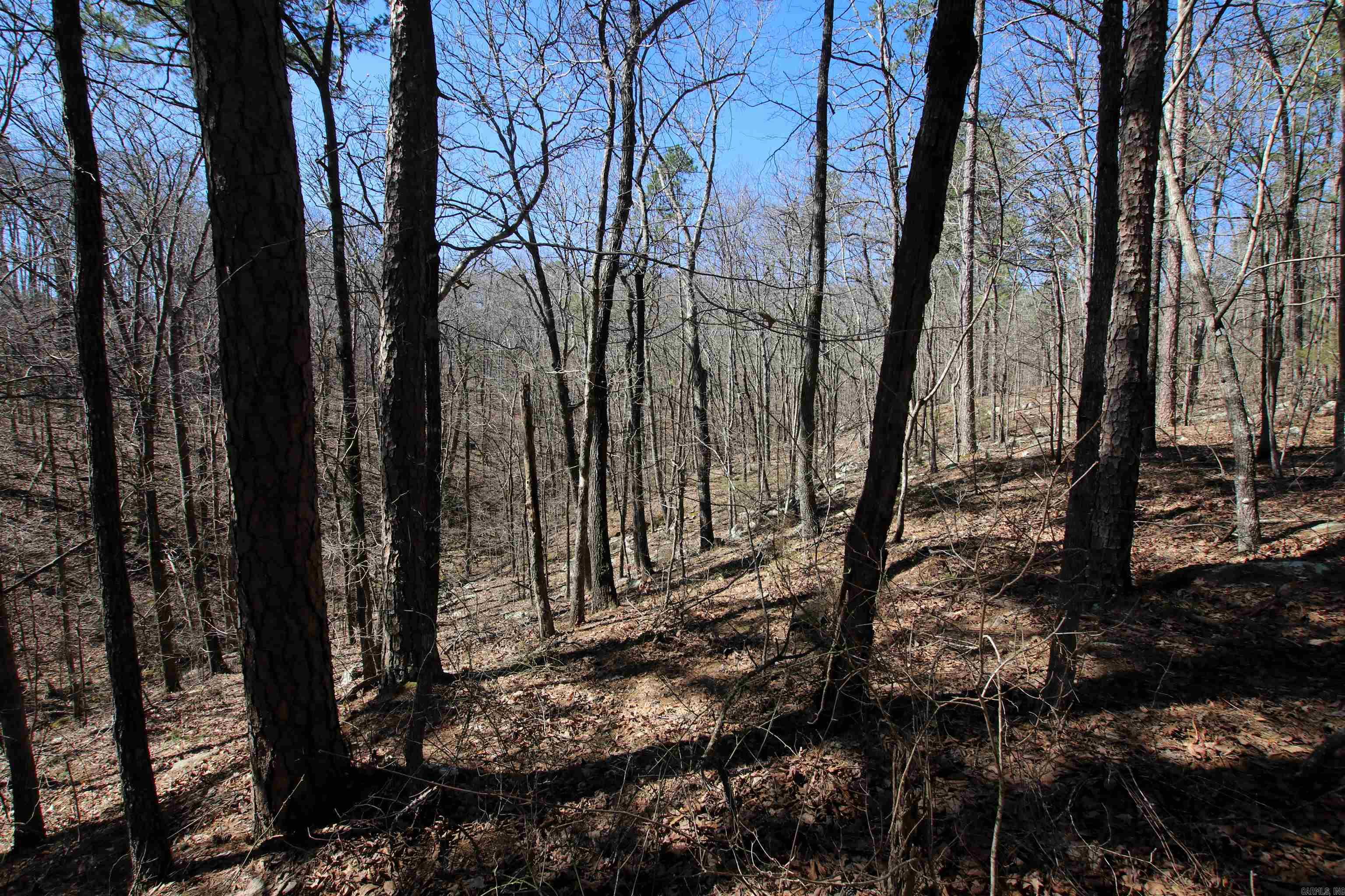 Not in Subdivision - Land