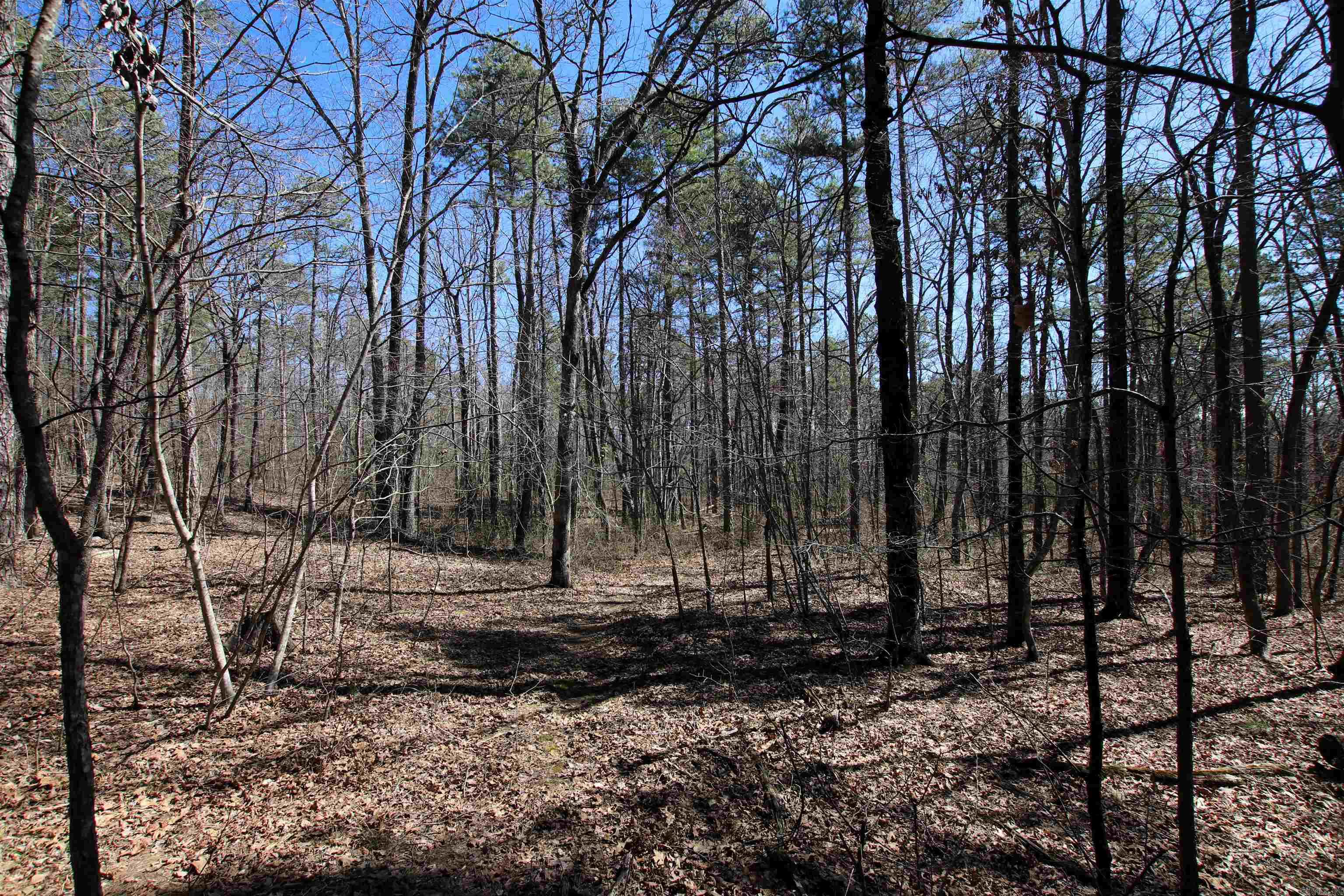 Not in Subdivision - Land