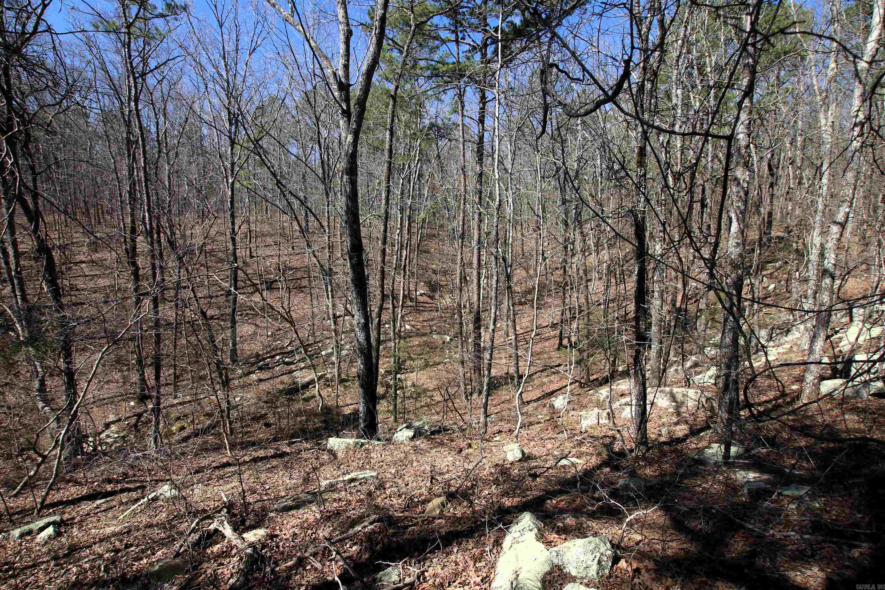 Not in Subdivision - Land