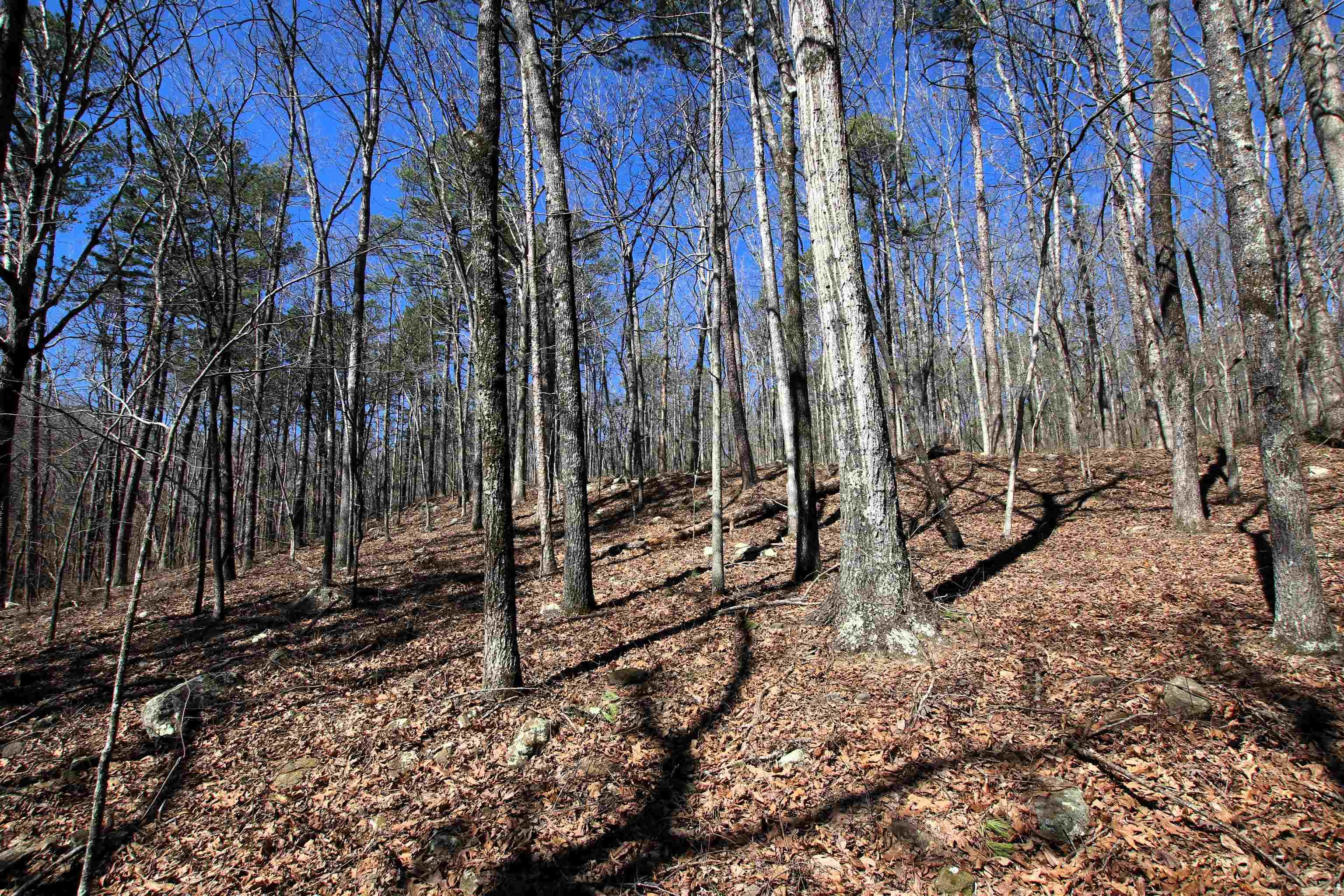 Not in Subdivision - Land