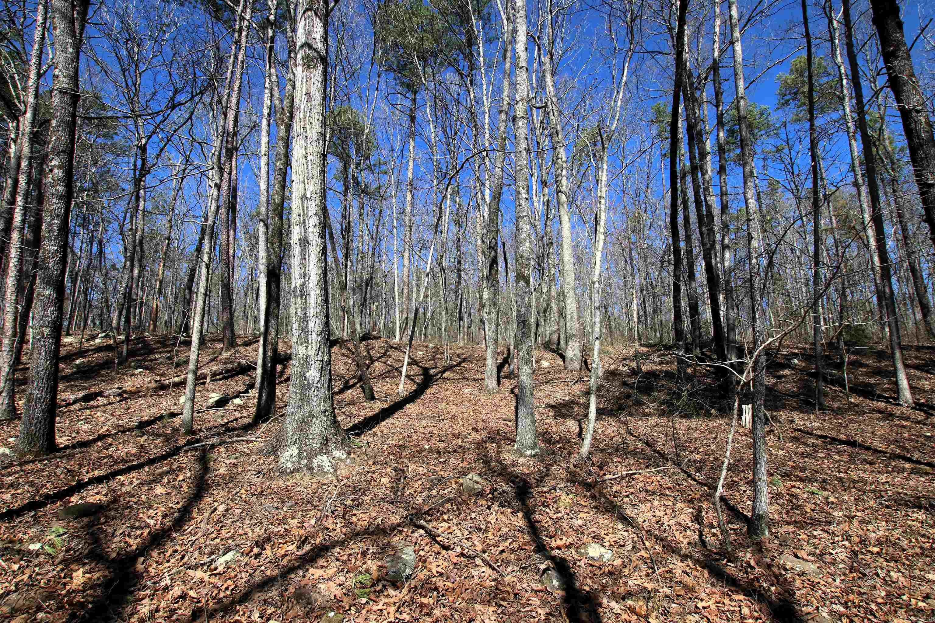 Not in Subdivision - Land