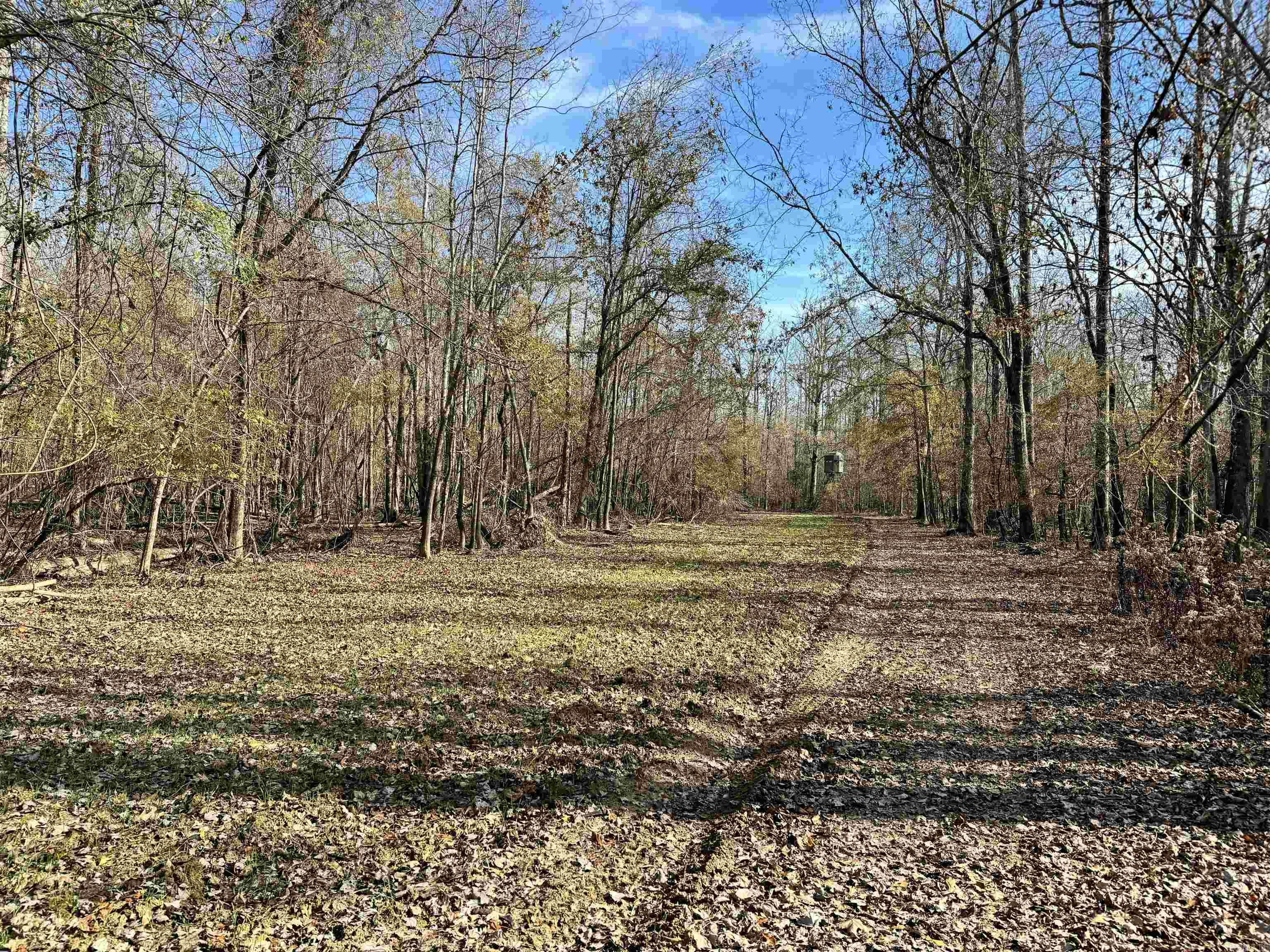 Metes & Bounds - Land