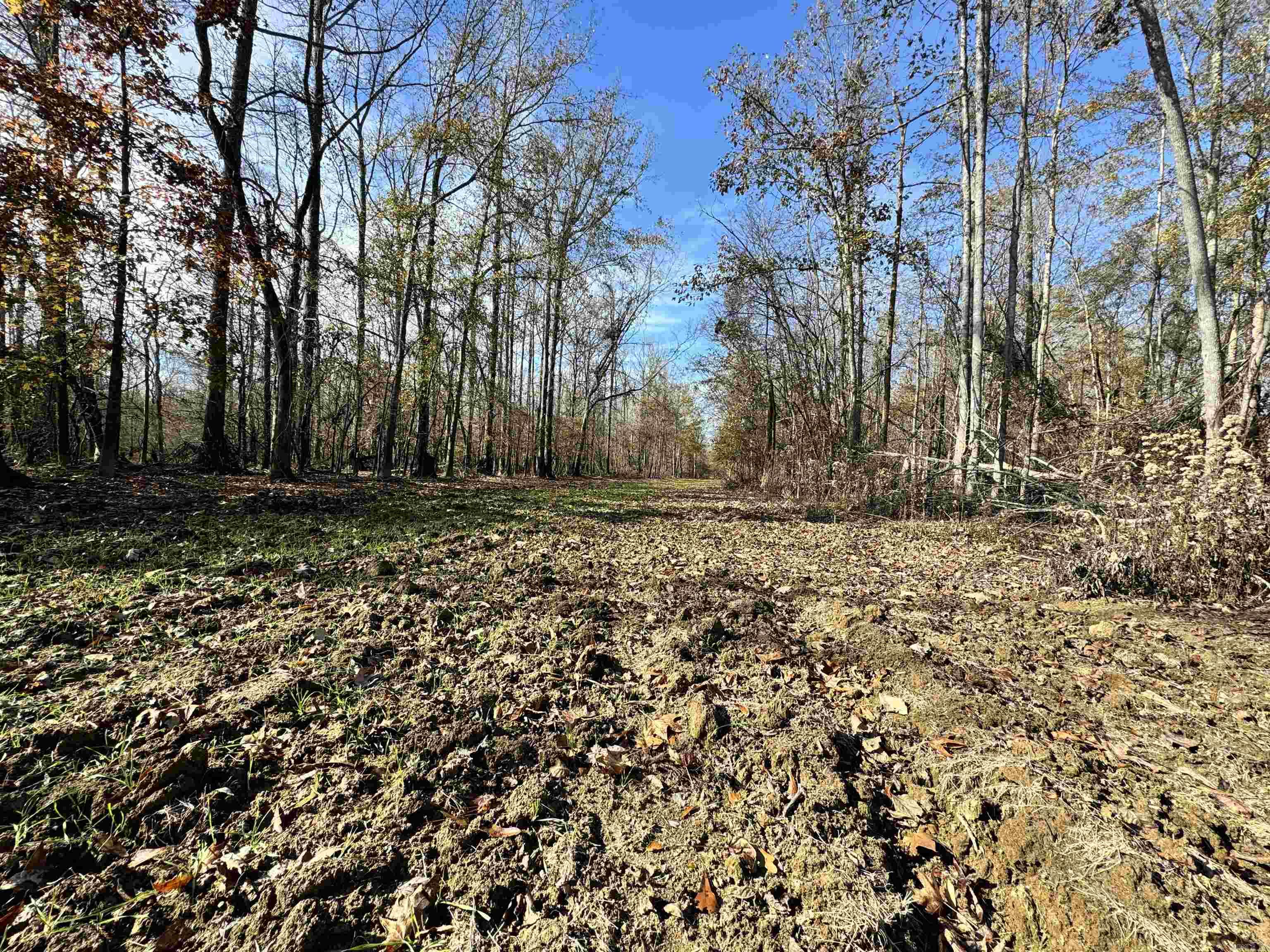 Metes & Bounds - Land