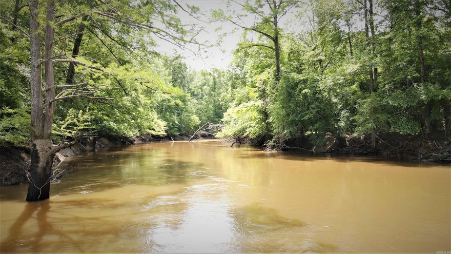 If you want to be an owner in a property that requires very little input from you both in regards to labor and costs, while having access to over 7,100 acres you have found your place. This opportunity is for share of ownership into Big Island Land & Timber which is a well managed hunting club in the Saline River bottoms of Grant County, Arkansas. This is truly a year-round retreat for you and your family as you have access to deer, turkey, and duck hunting during the Winter and Spring with all of the water activities you could want during the Summer as the Saline River runs through the heart of this club. The annual costs to the owner is minimal at only $900/year which covers the owners portion of property taxes (remember you are an owner, NOT just a lease member), road maintenance, and annual food plot preparation. The only requirement of the owner is to seed and cover your own food plot which means there is no need for you to tie up a lot of money in tractors and other equipment. For only $5,000 more there is a lot available within the lodging area of the club where you could either put a camper, built a cabin, etc.