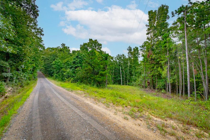 38.19 acres w/ decent size hardwood timber and a few pine trees up front, has an old home site, plenty of trails to deer and turkey hunt, has power and city water, and a good deal of road frontage. Close to Greers Ferry Lake. Call to schedule an appointment.