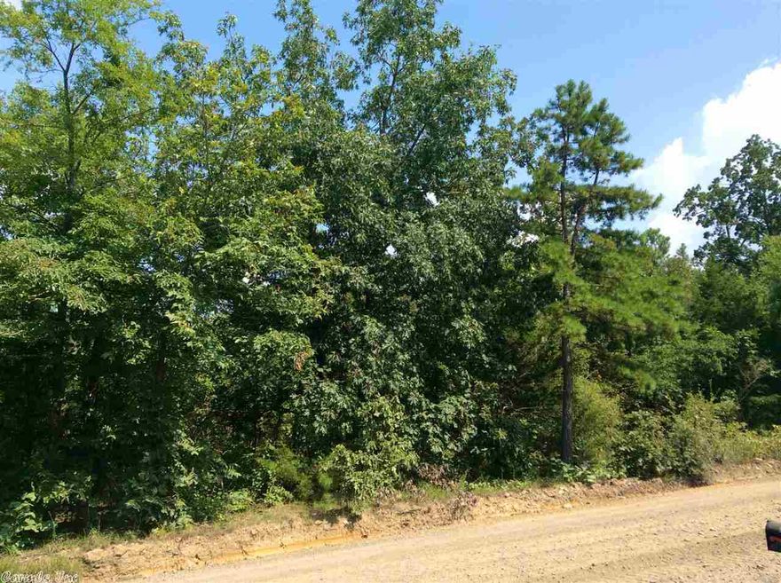 9.77 wooded acres with mountain views.  Surveyed, partially fenced with county road frontage.  Restricted, 1/2 gas, oil and mineral rights previously reserved.