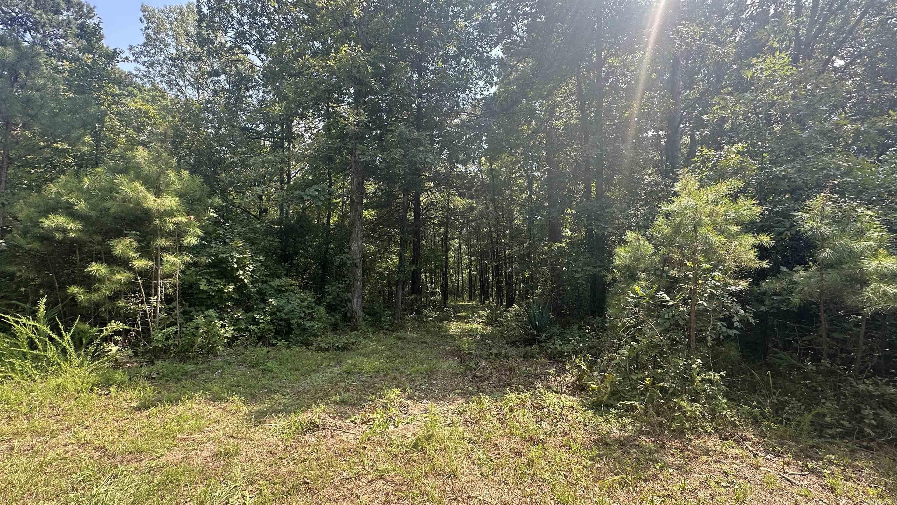 Metes &amp; Bounds - Farm