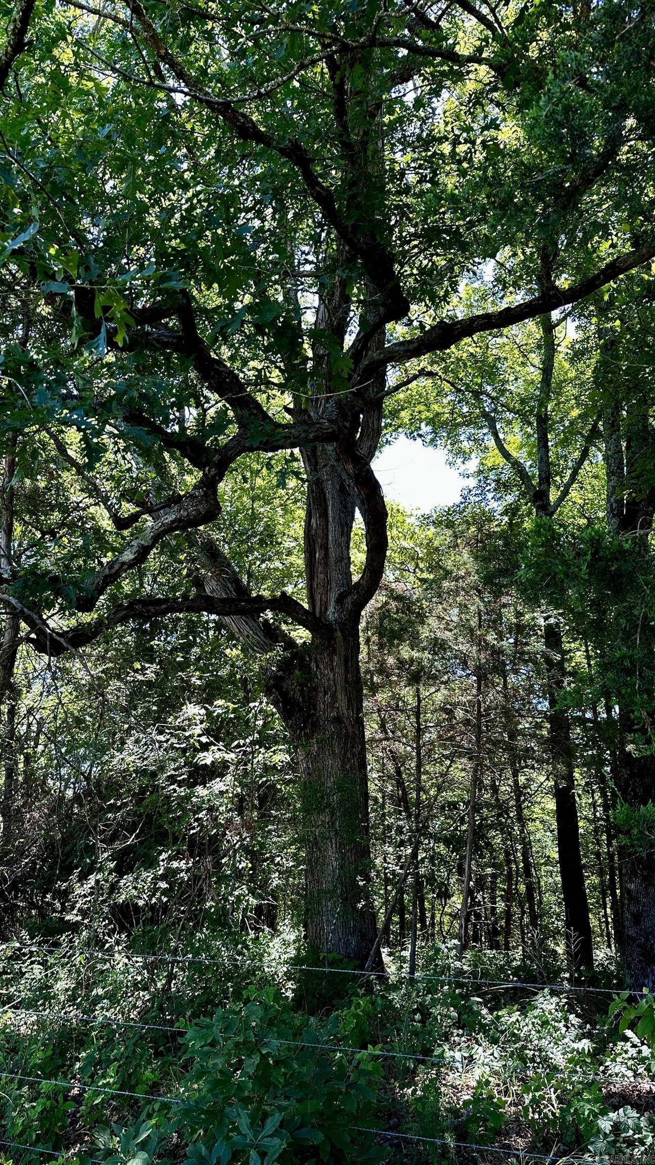 Metes &amp; Bounds - Farm