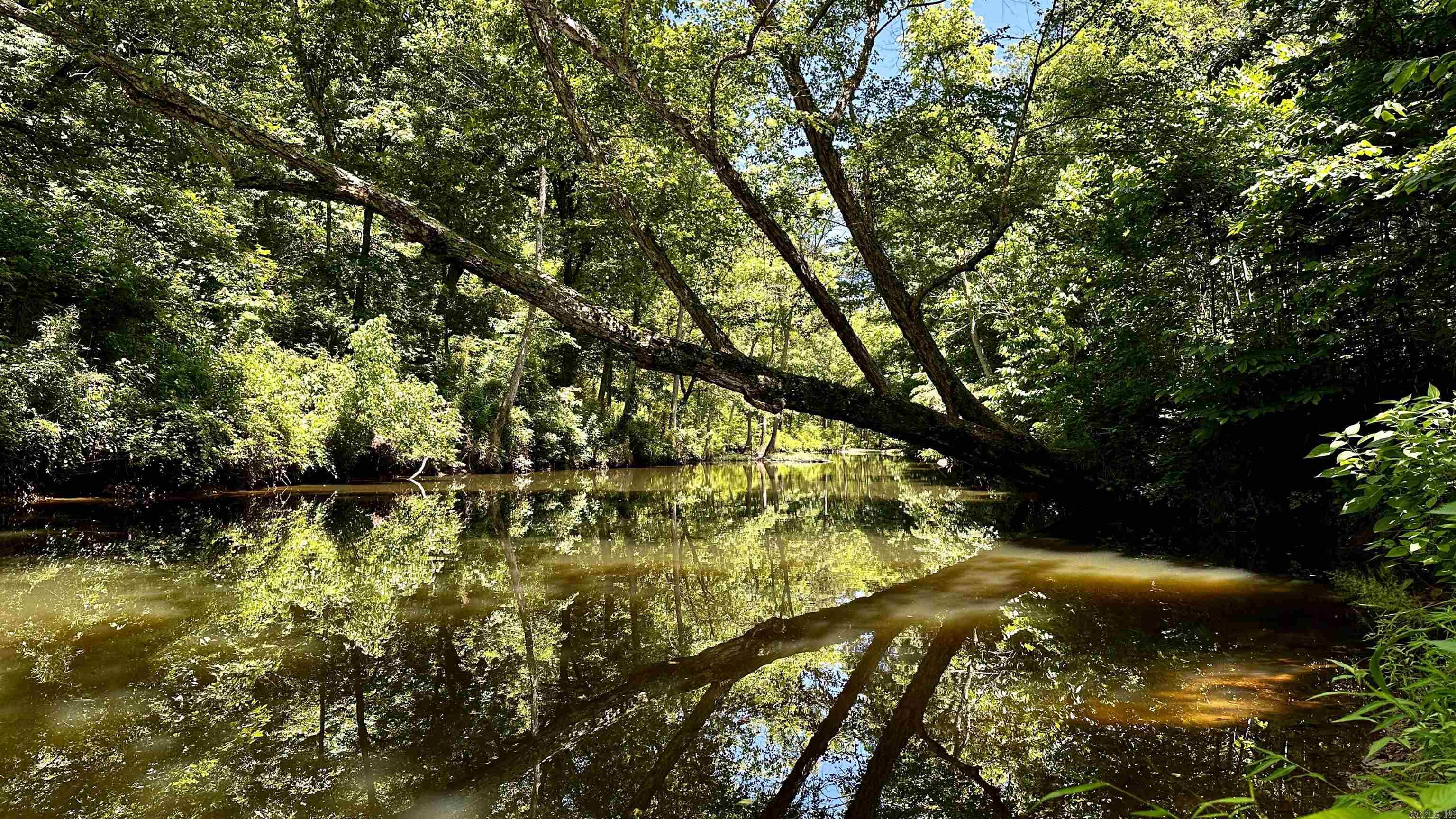 Metes &amp; Bounds - Farm