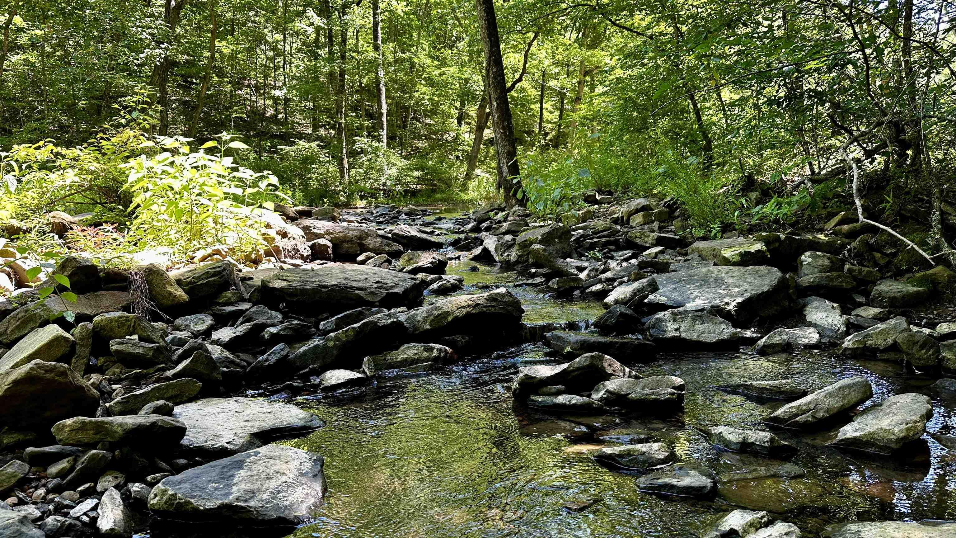 Metes &amp; Bounds - Farm