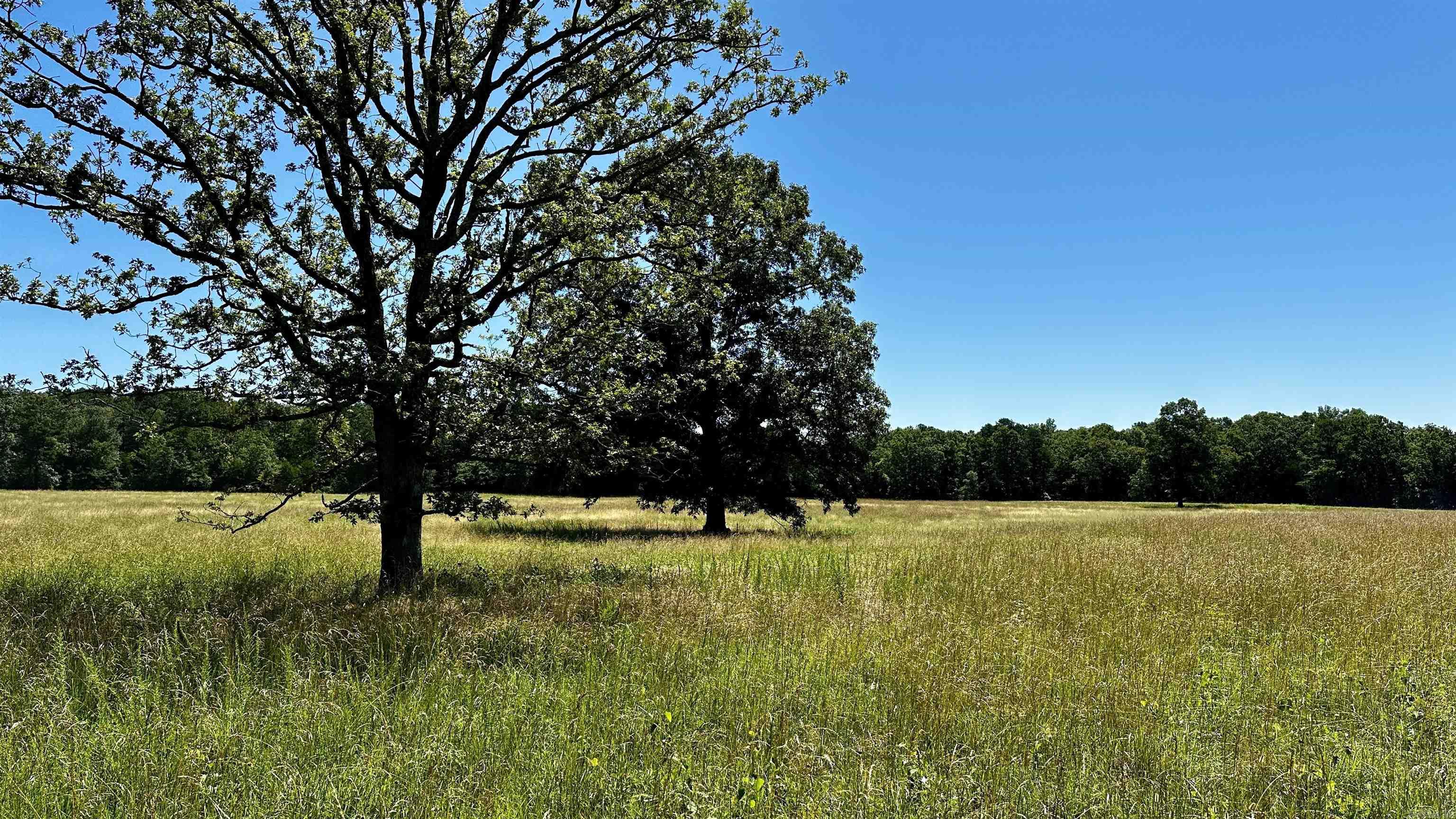 Metes &amp; Bounds - Farm