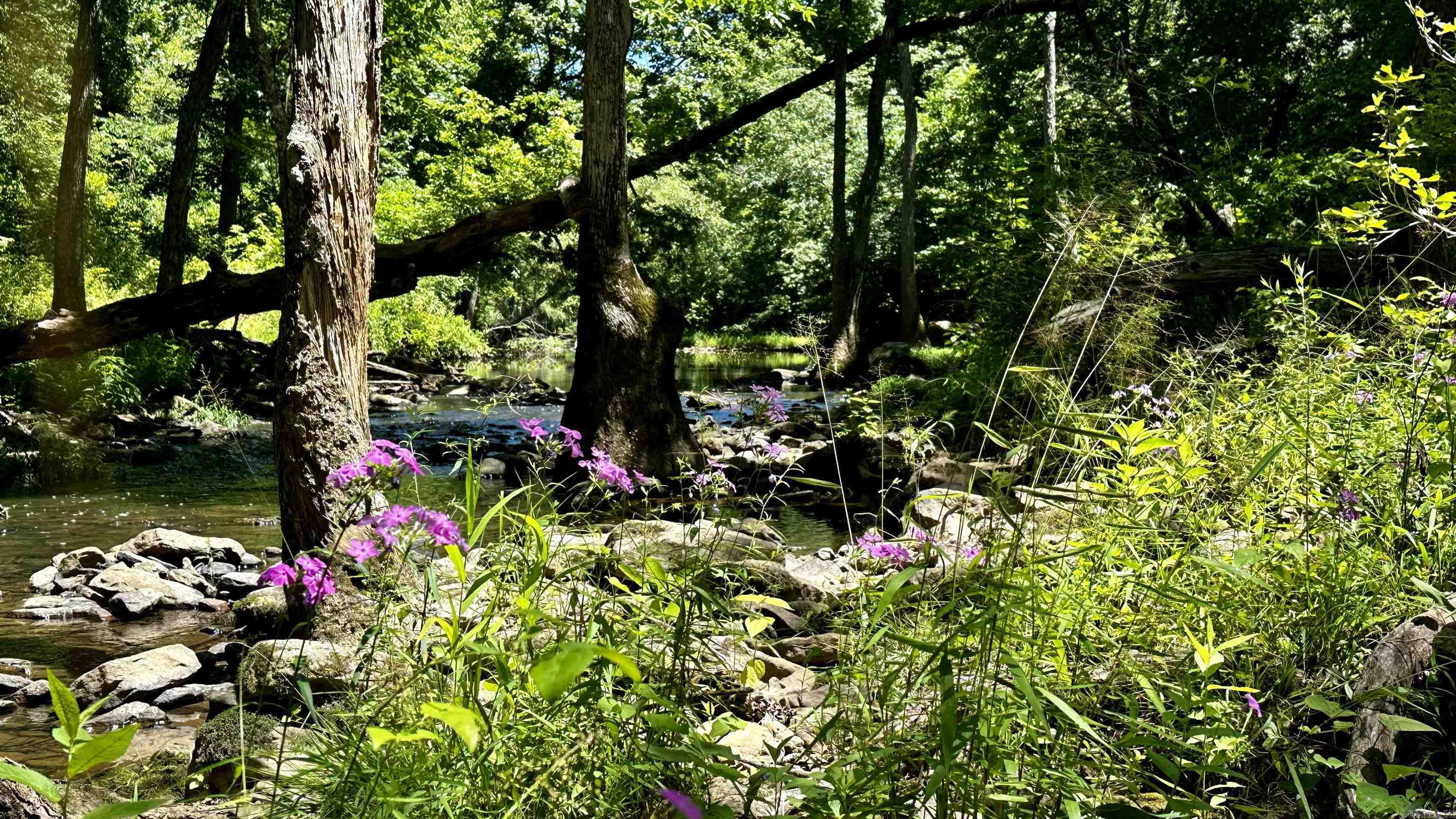 Metes &amp; Bounds - Farm