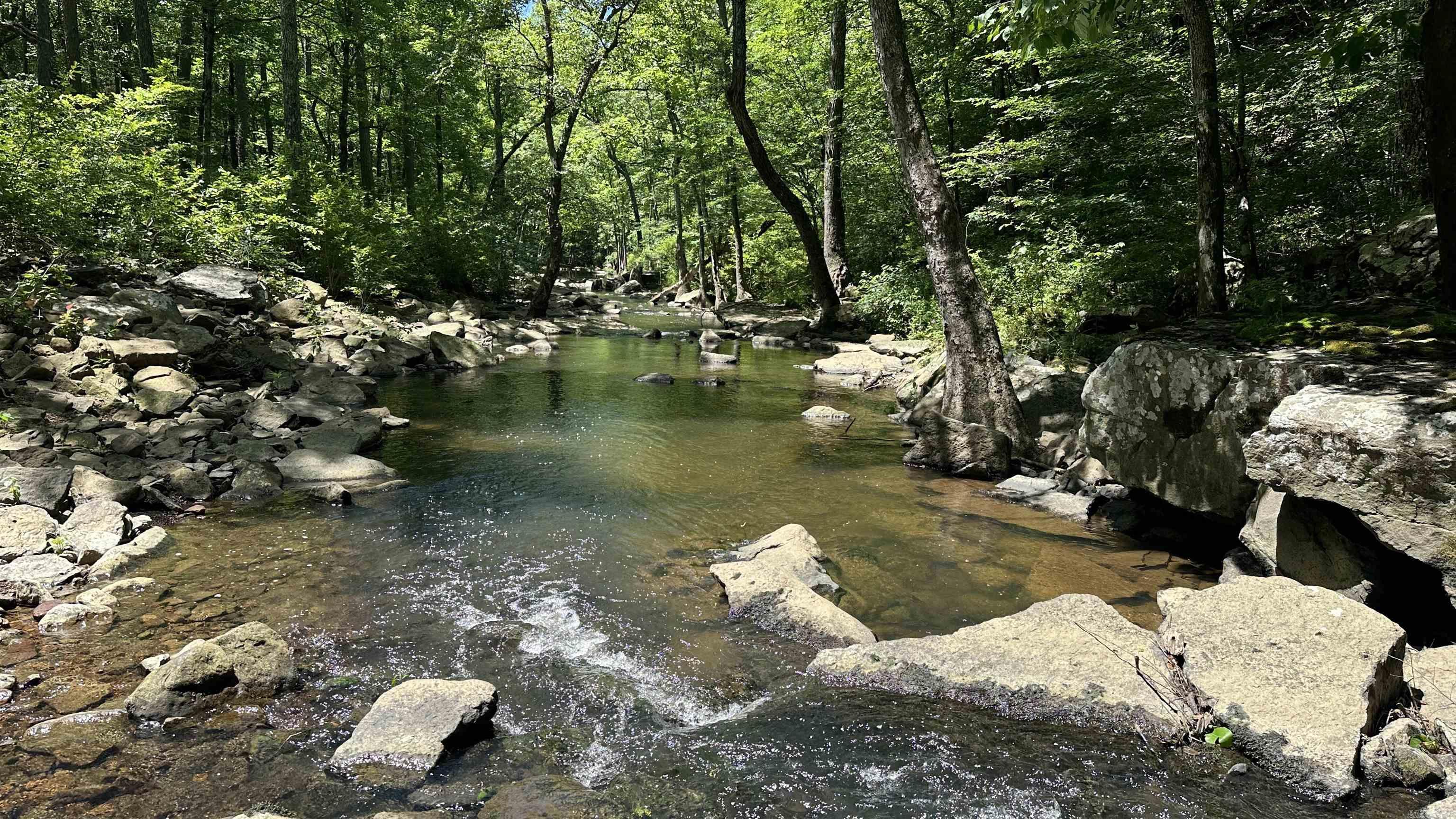 Metes &amp; Bounds - Farm